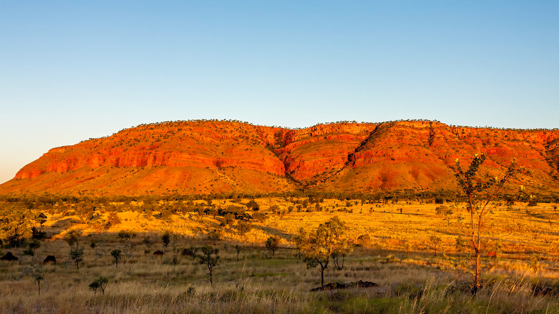 Mornington Wilderness Conservation  Area