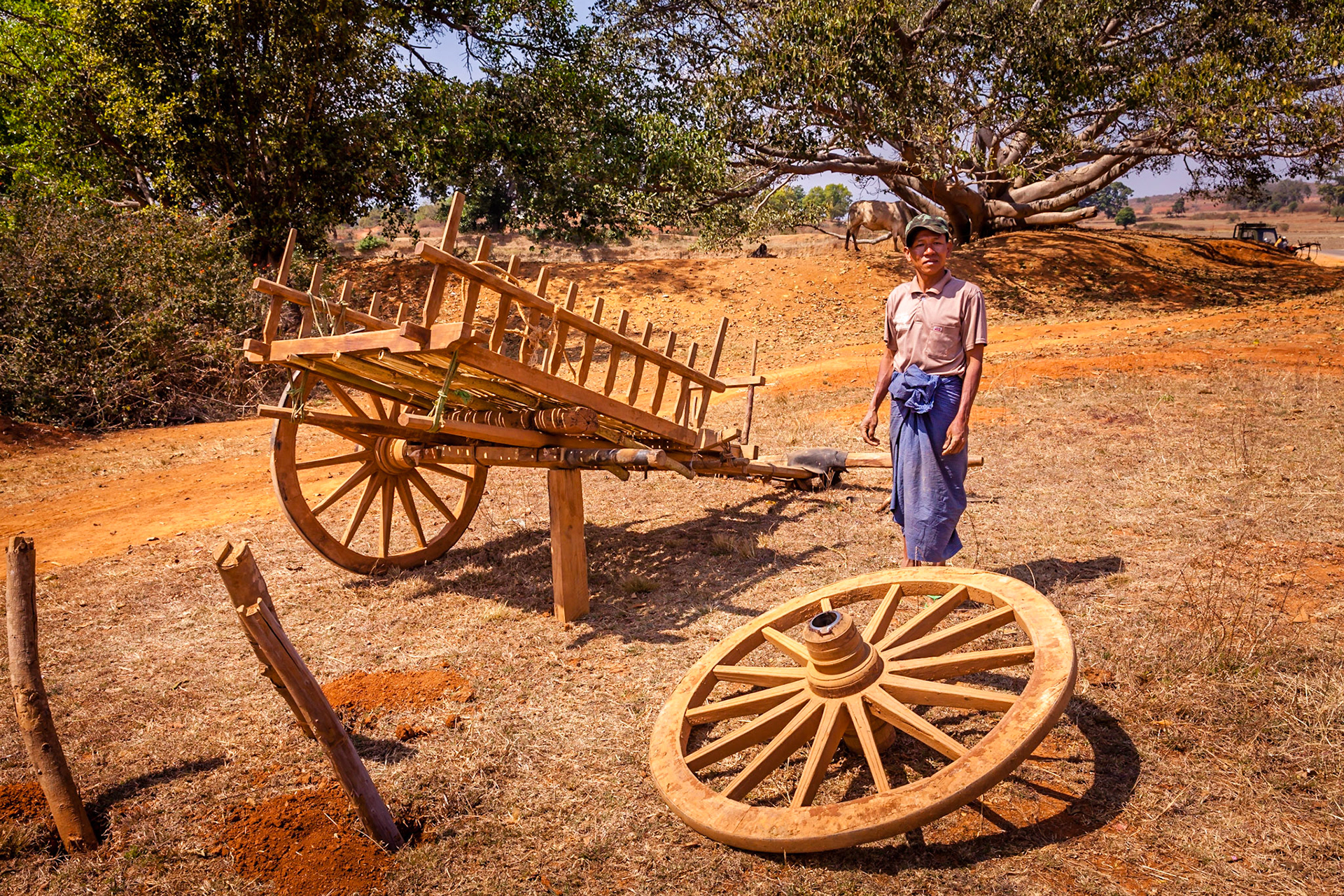 Ox cart wheel change