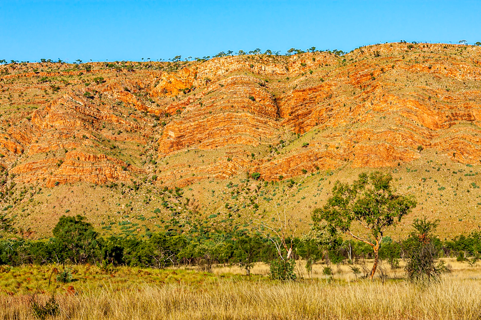 Mornington Wilderness Conservation  Area