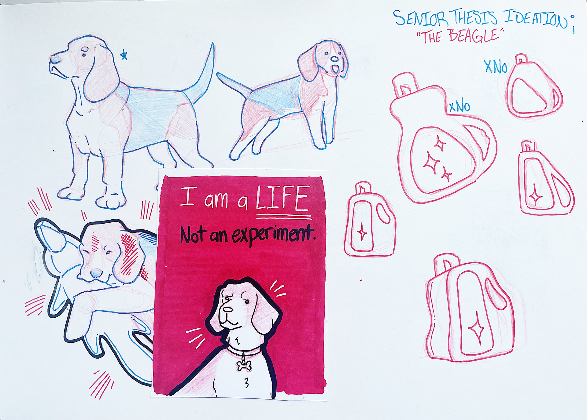 Designing the Detergent Bottle