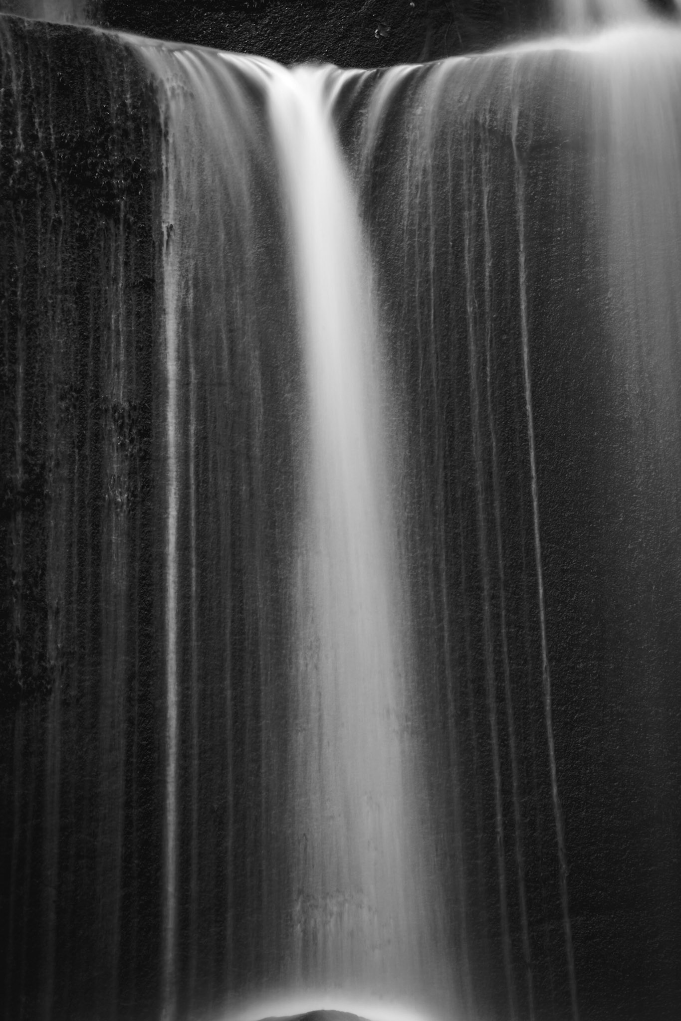 SHAPES OF NATURE 5