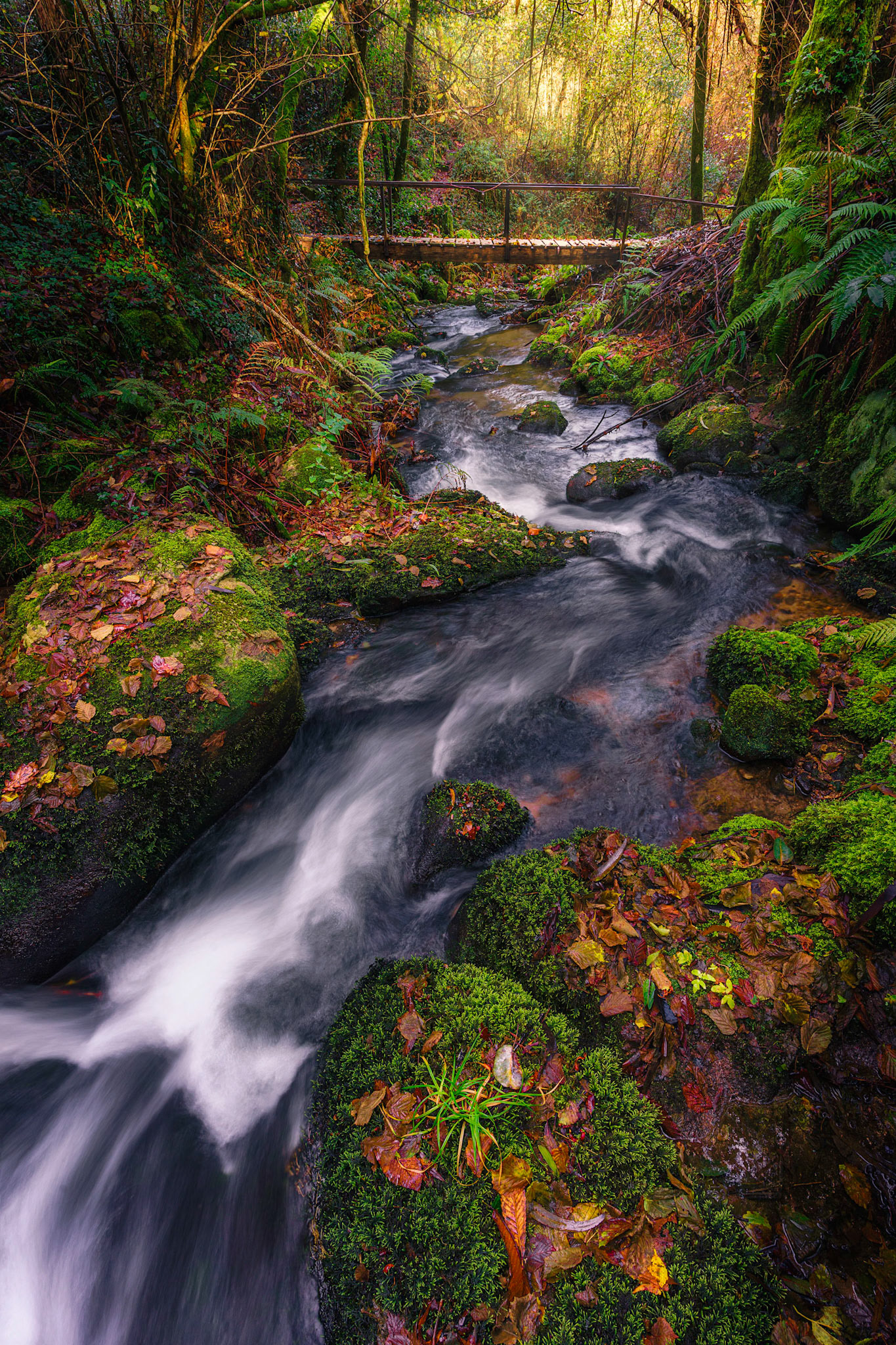 DOWN TO THE BRIDGE