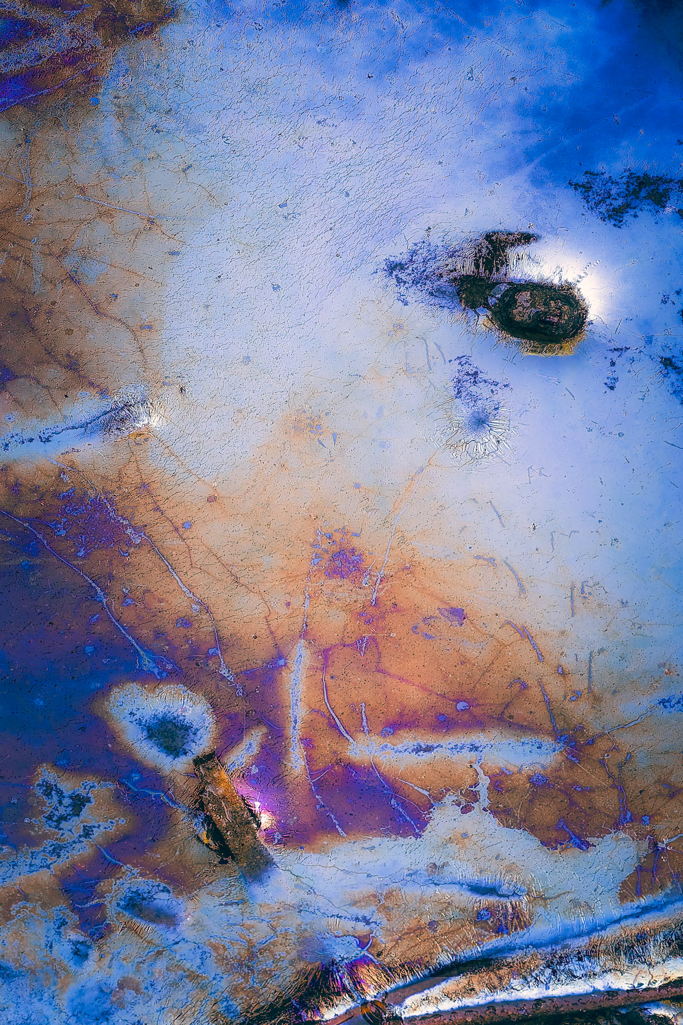 BIOFILM