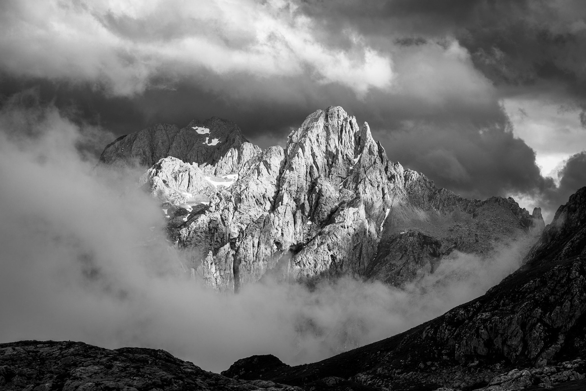 GOLDEN SUMMIT black and white