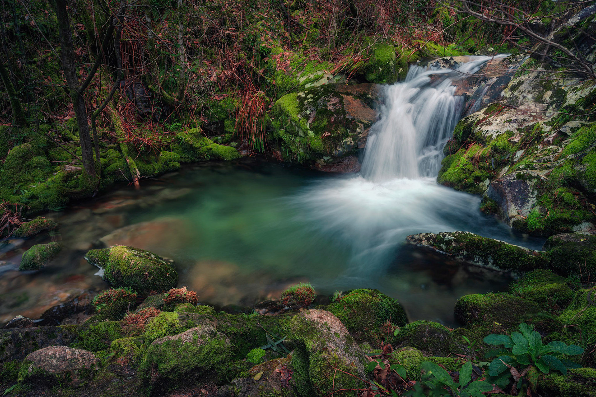 THE MYSTIC POND
