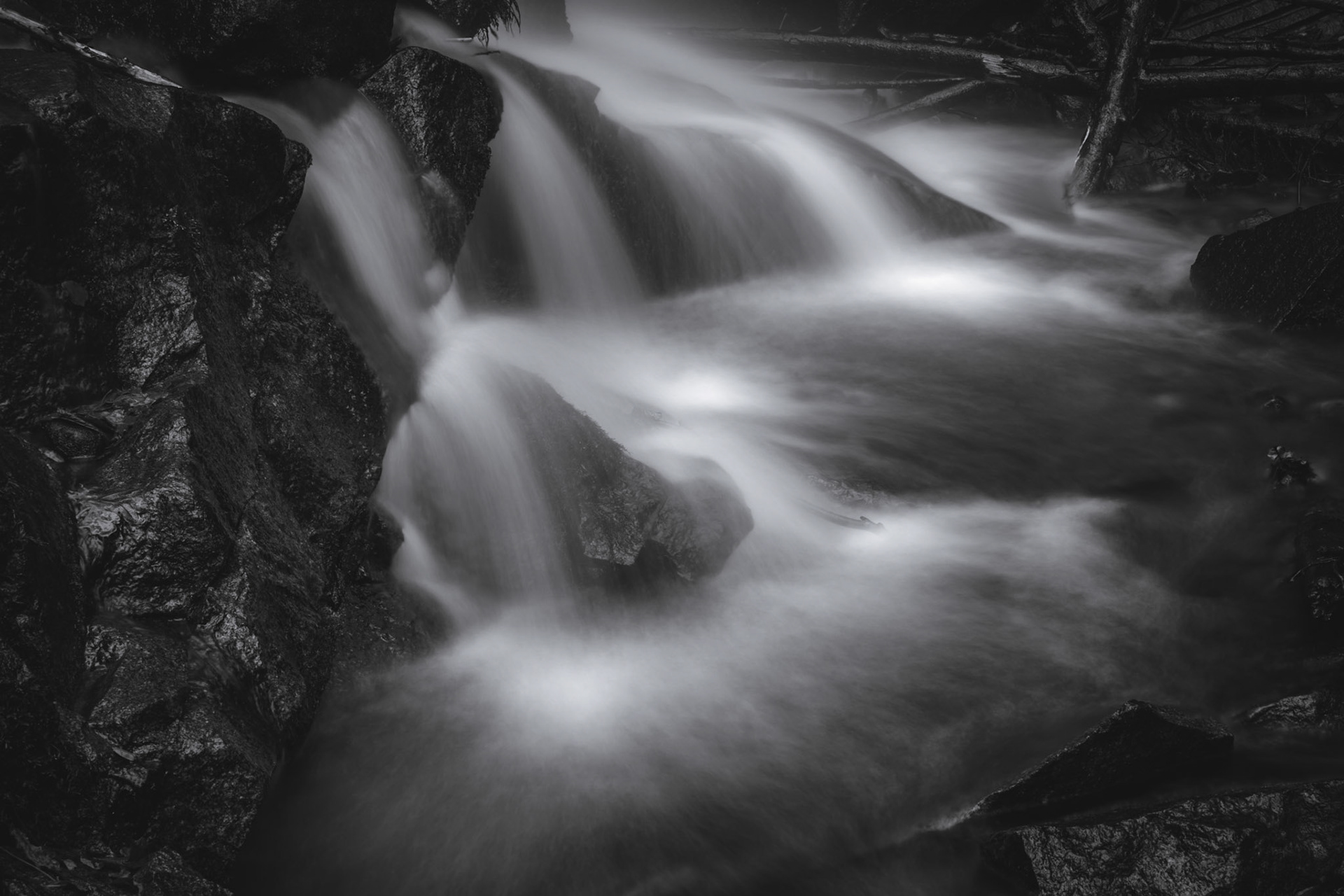 SHAPES OF NATURE 12