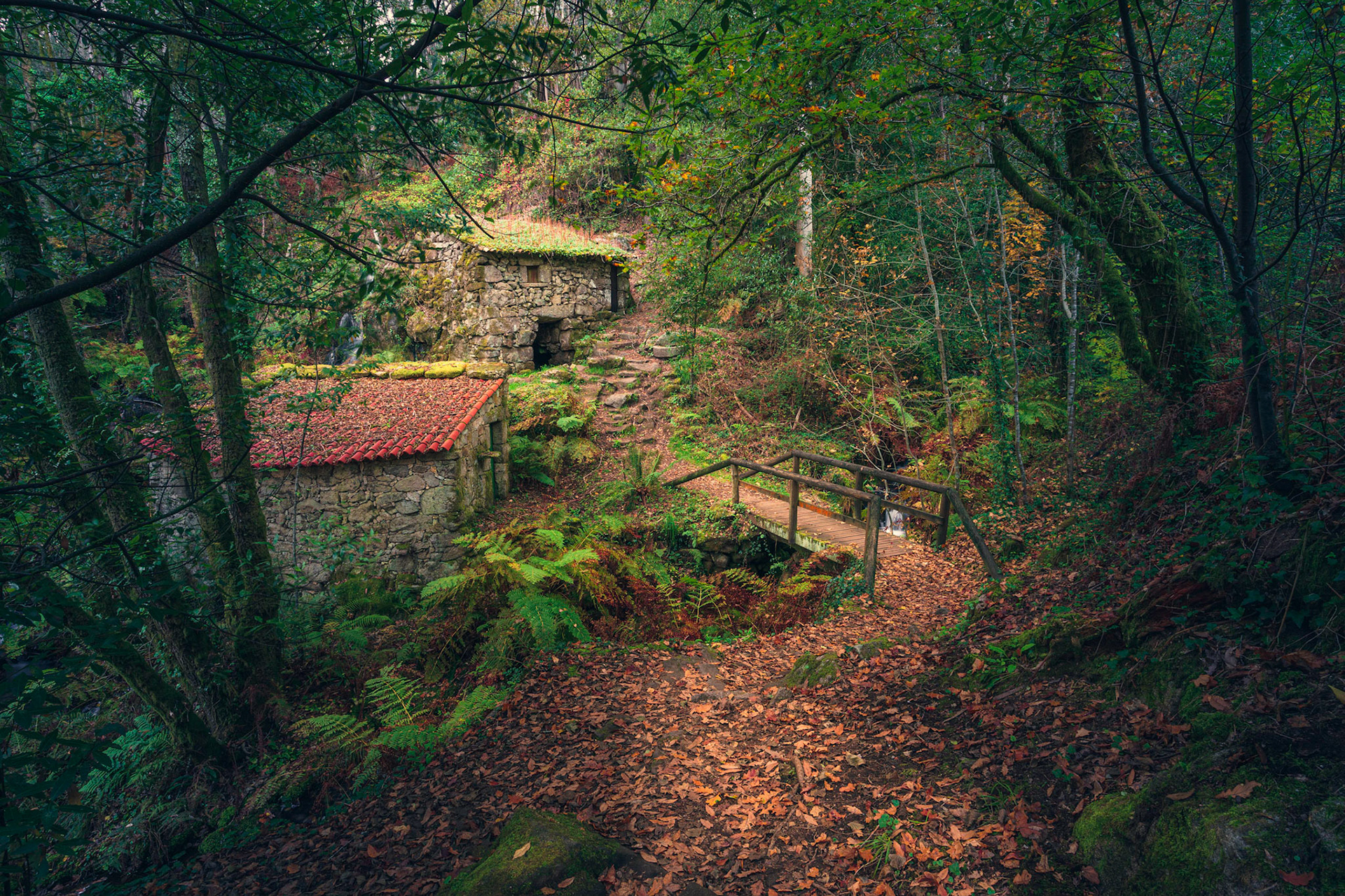 THE PATH