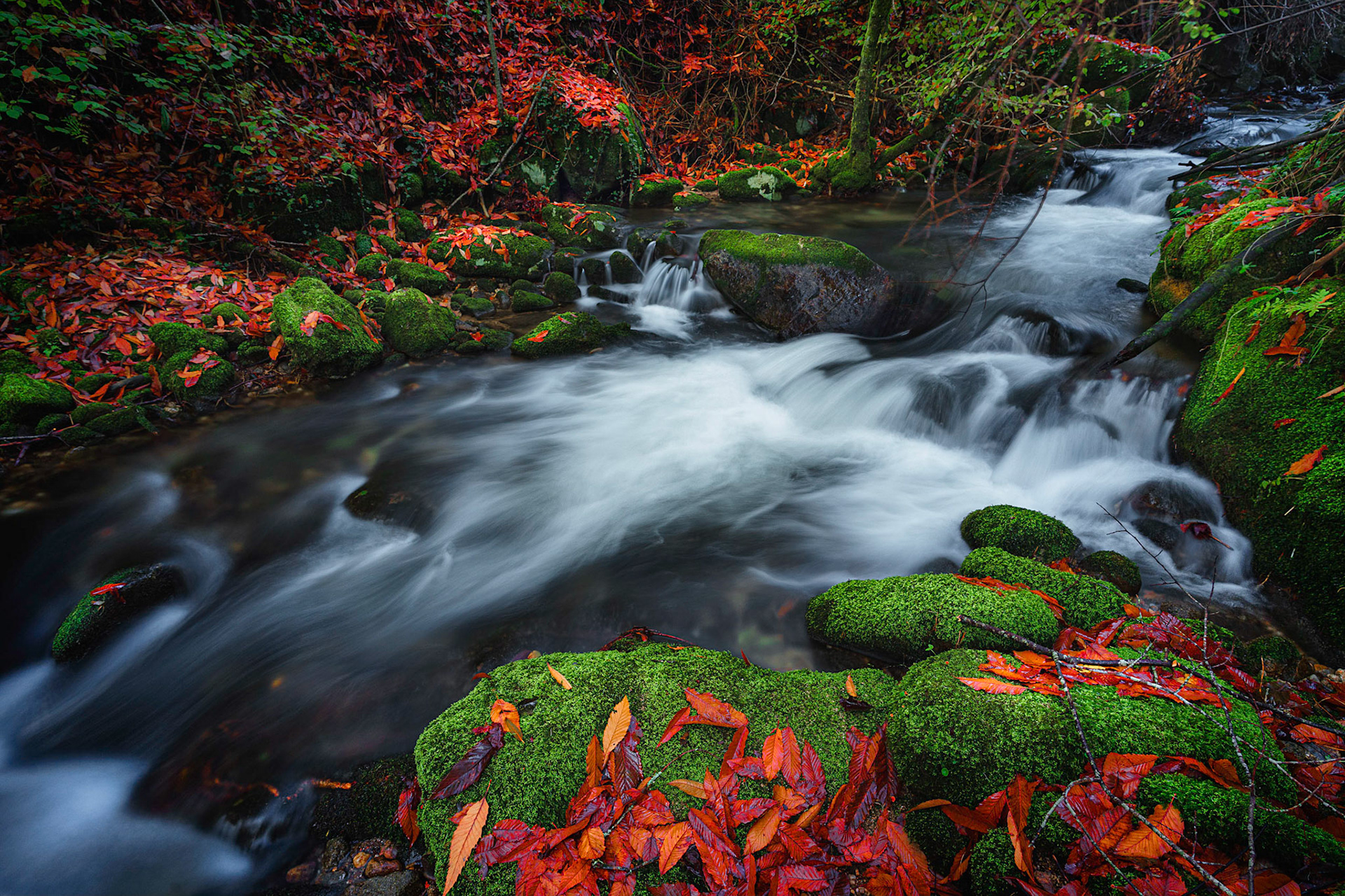 AUTUMN RIVER 1