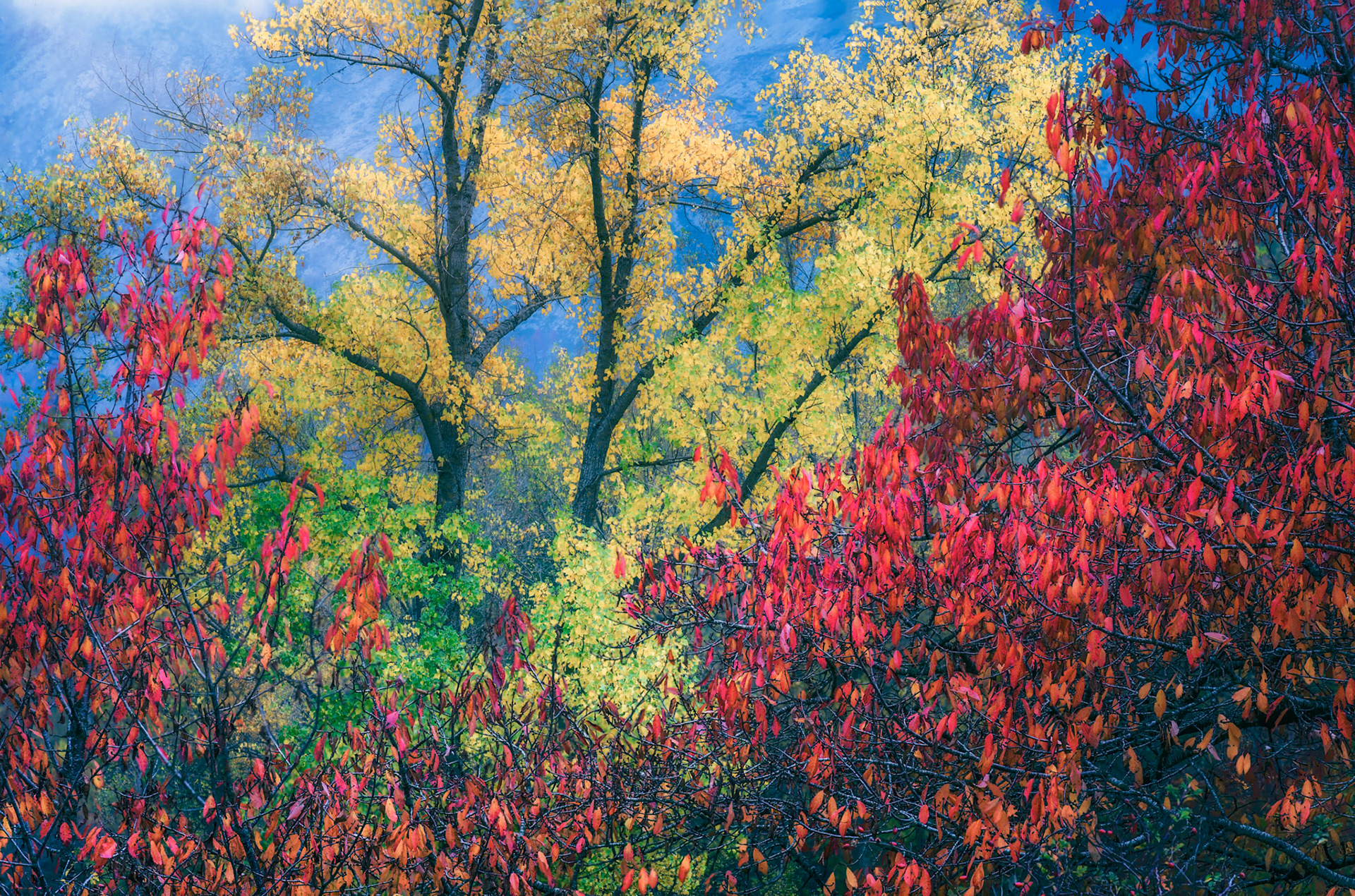 OTOÑO