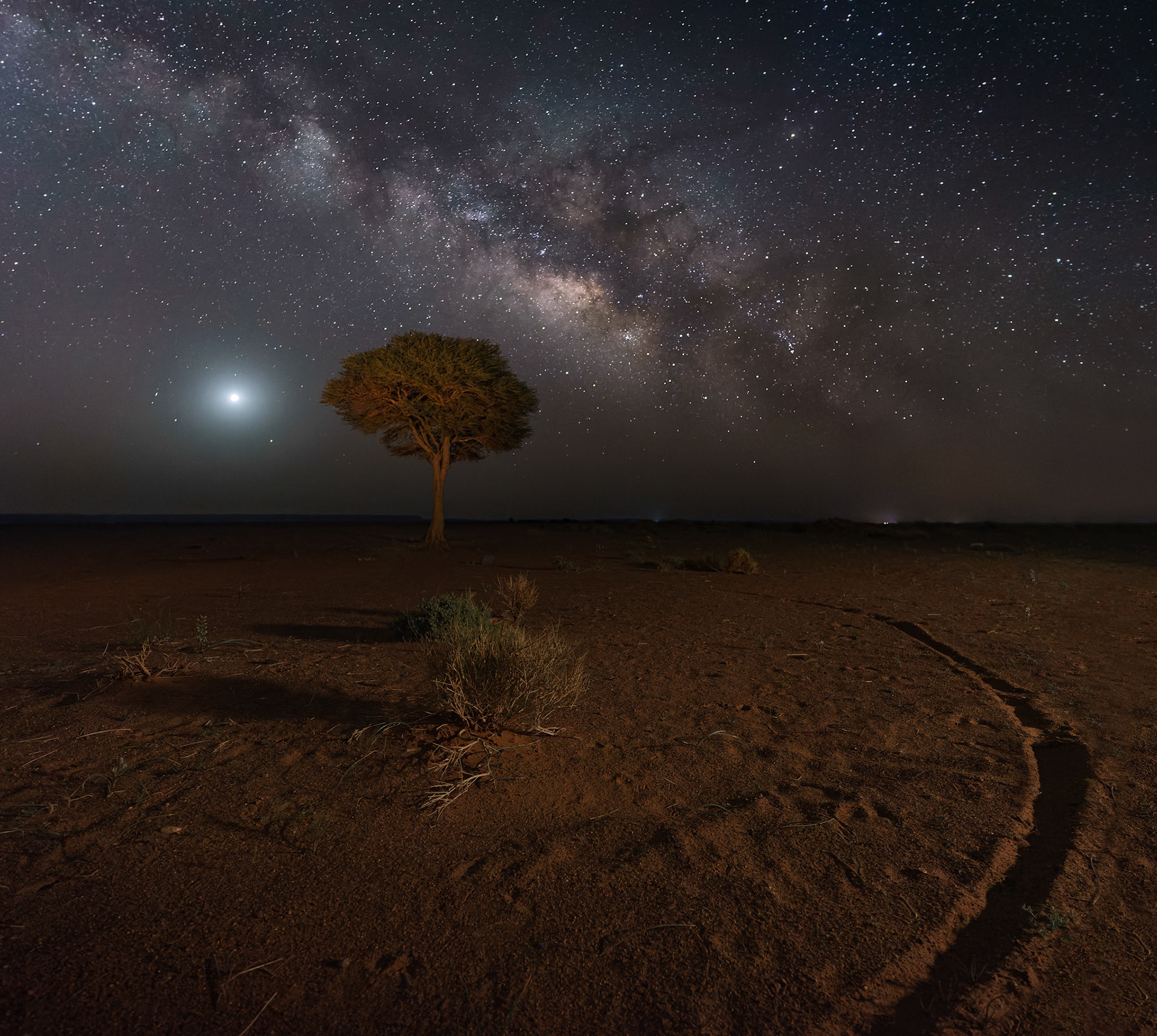 THE ROAD TO THE BAOBAB