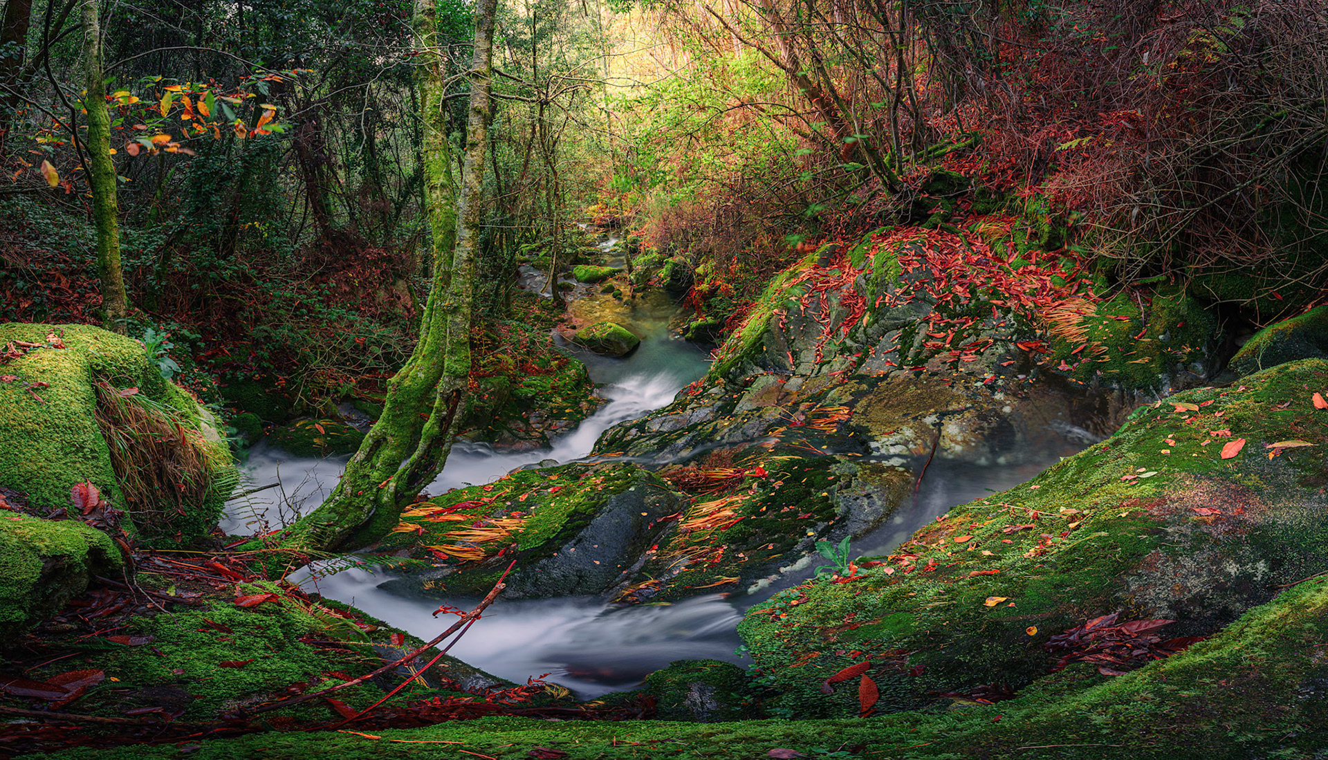 STREAM OF LIGHT