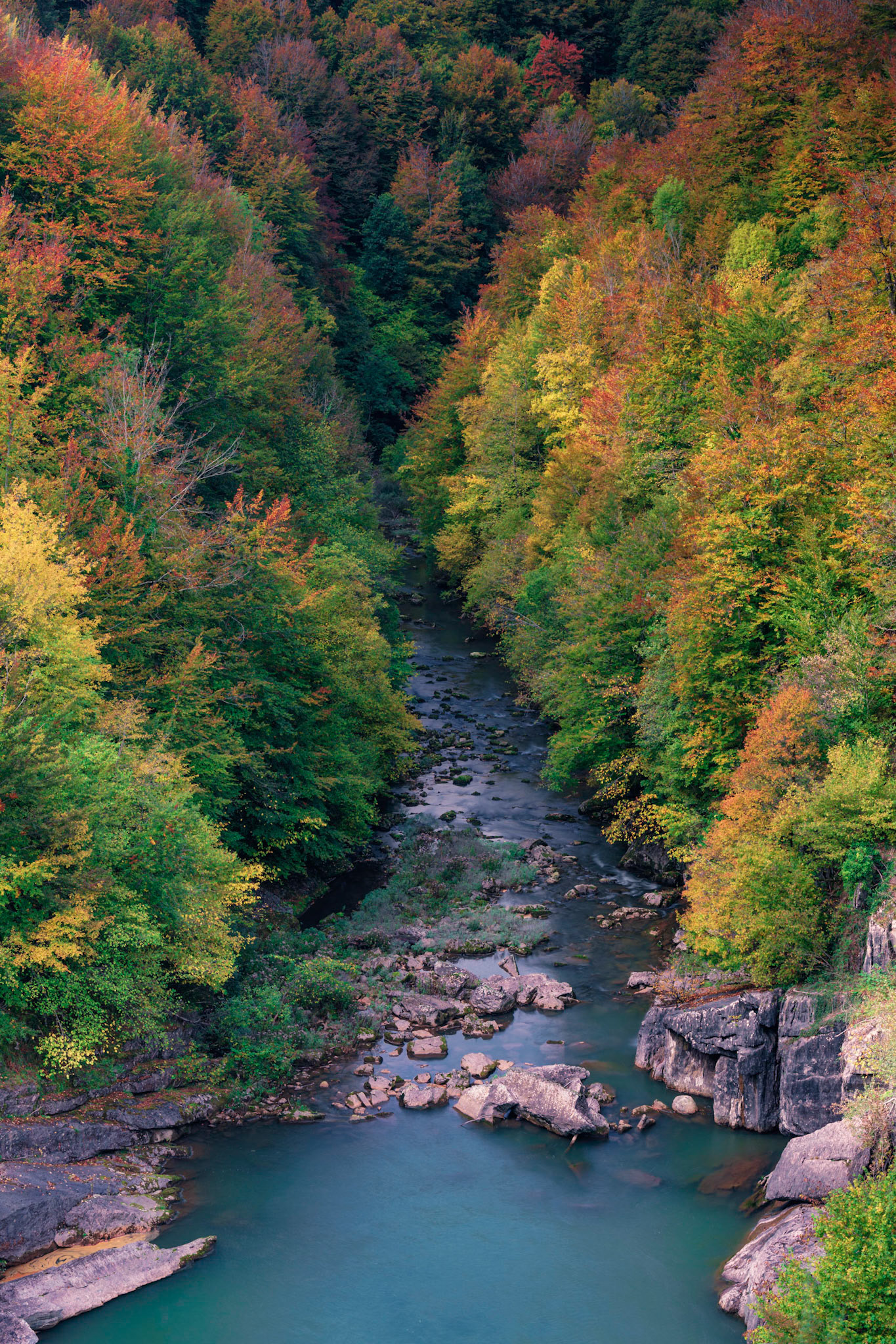 THE RIVER OF LIFE