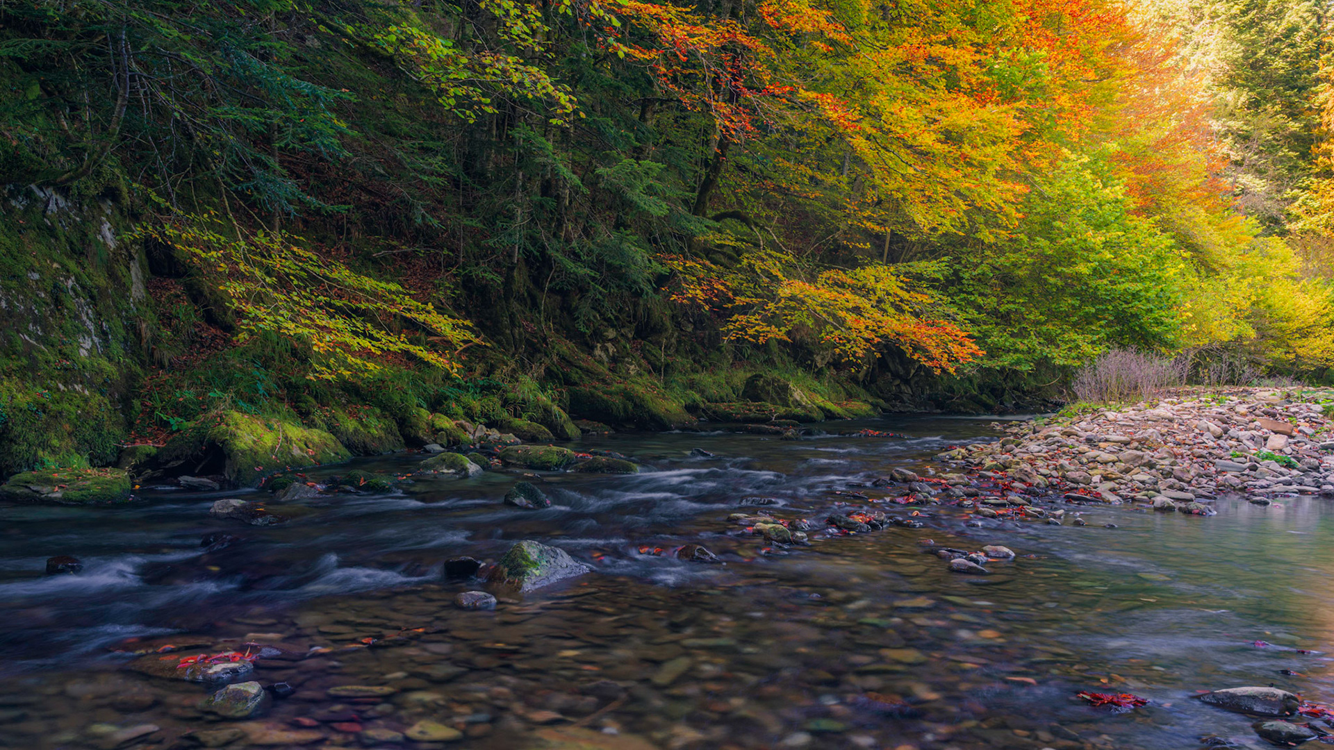 AUTUMN FLOW