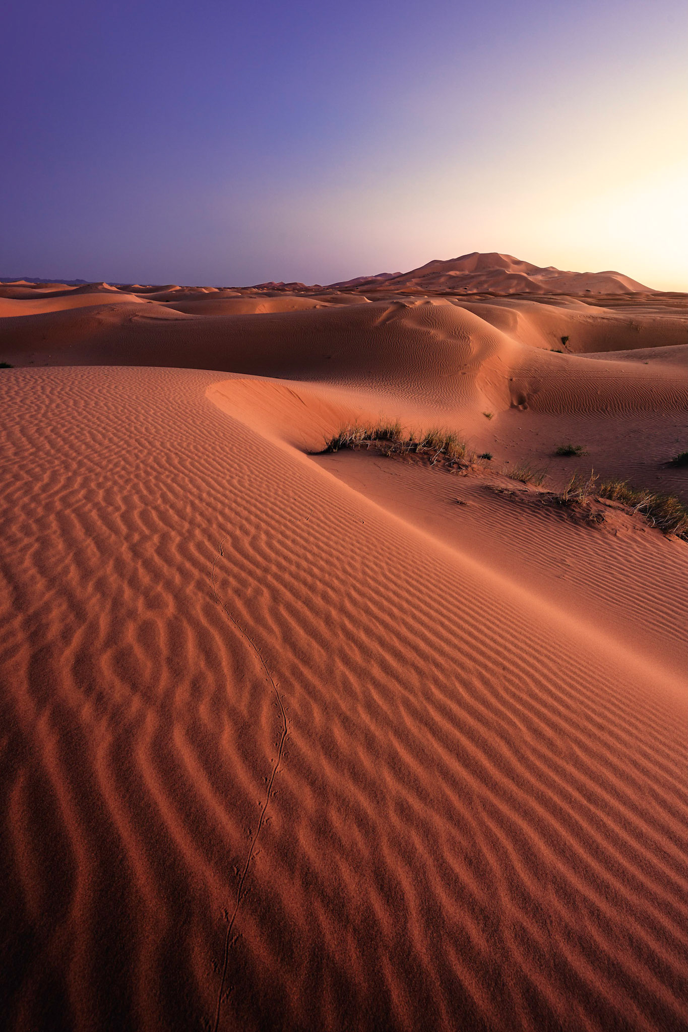 DUNES