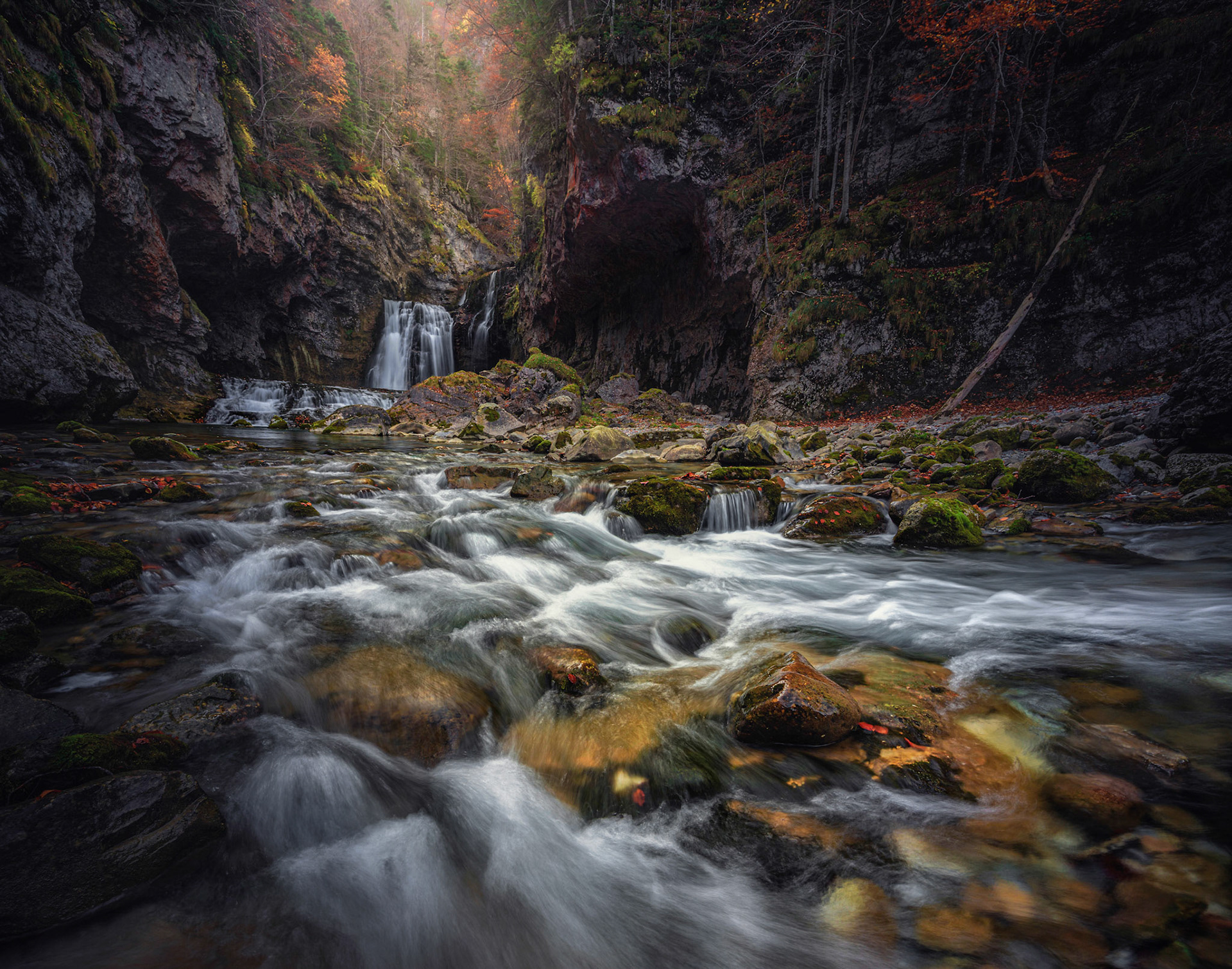 THE CANYON