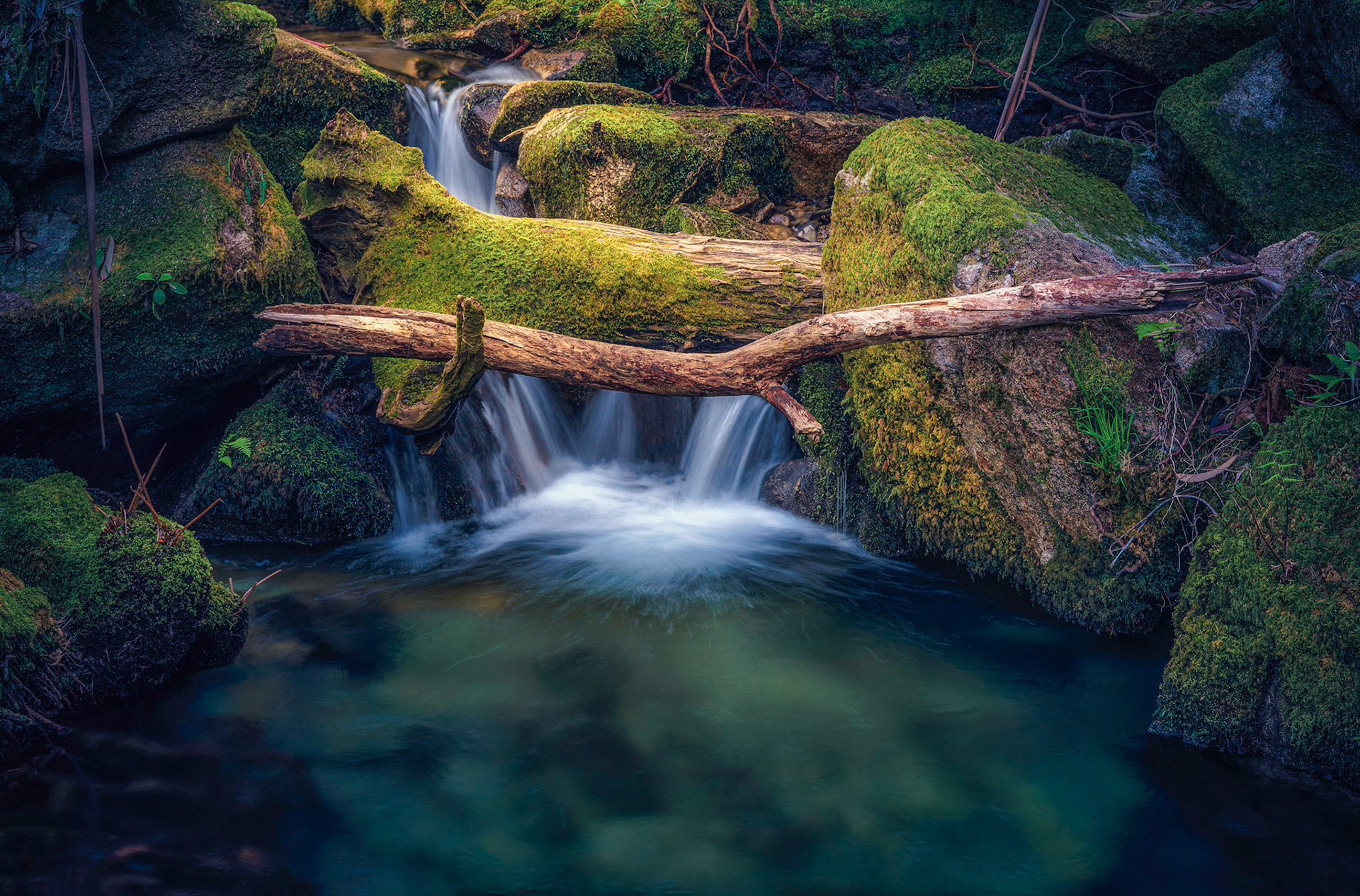 EMBRANCE OF WATER
