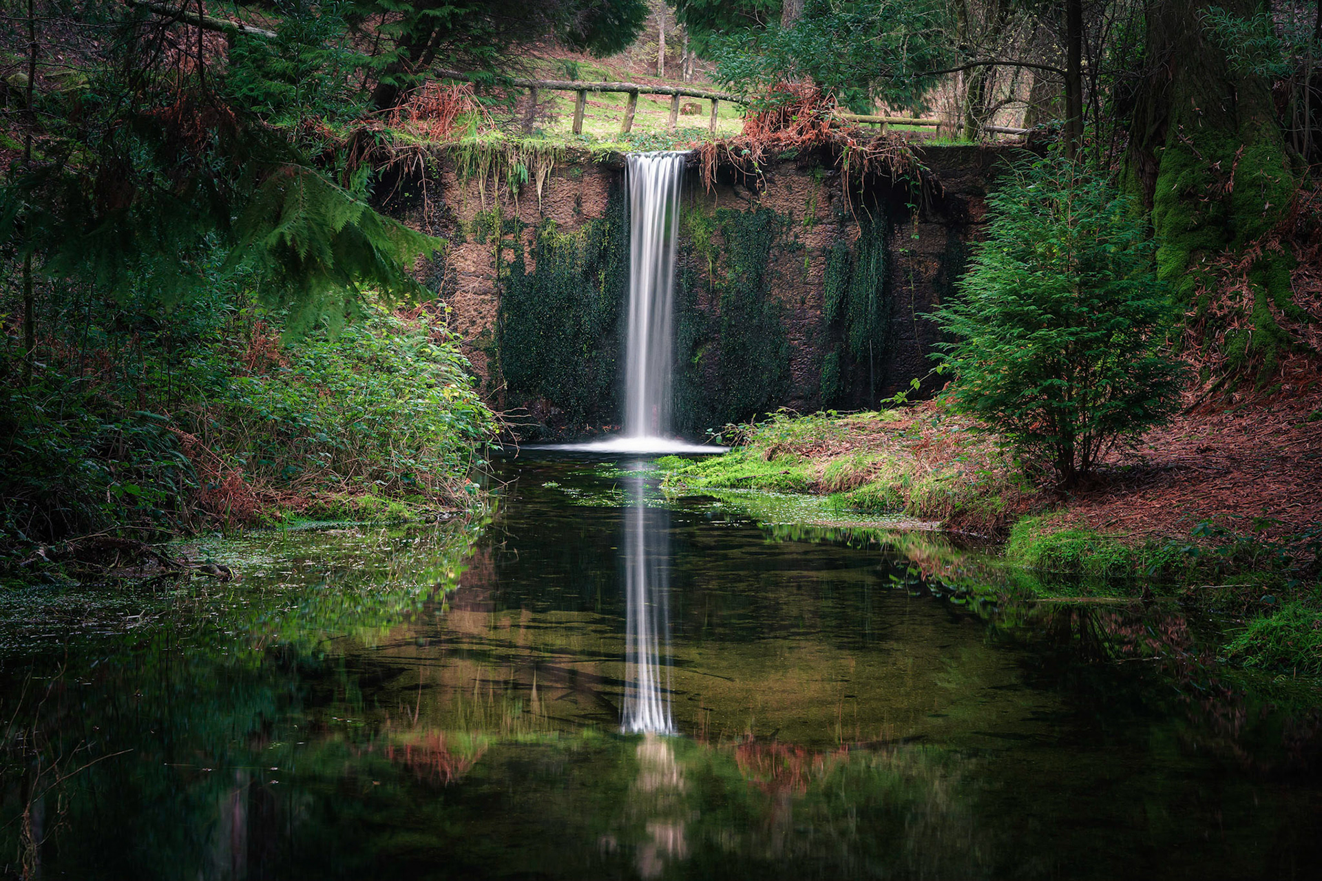 REFLECTION POND