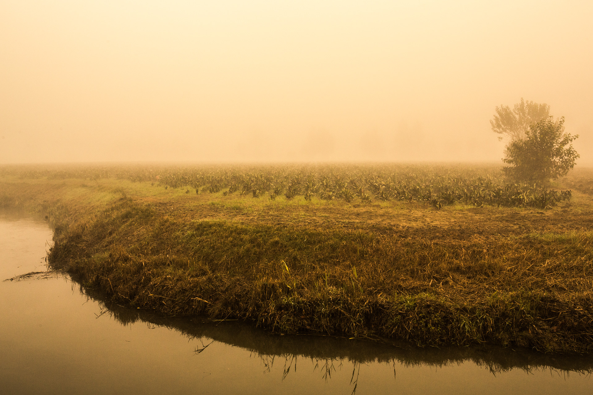 Campagna invernale #5