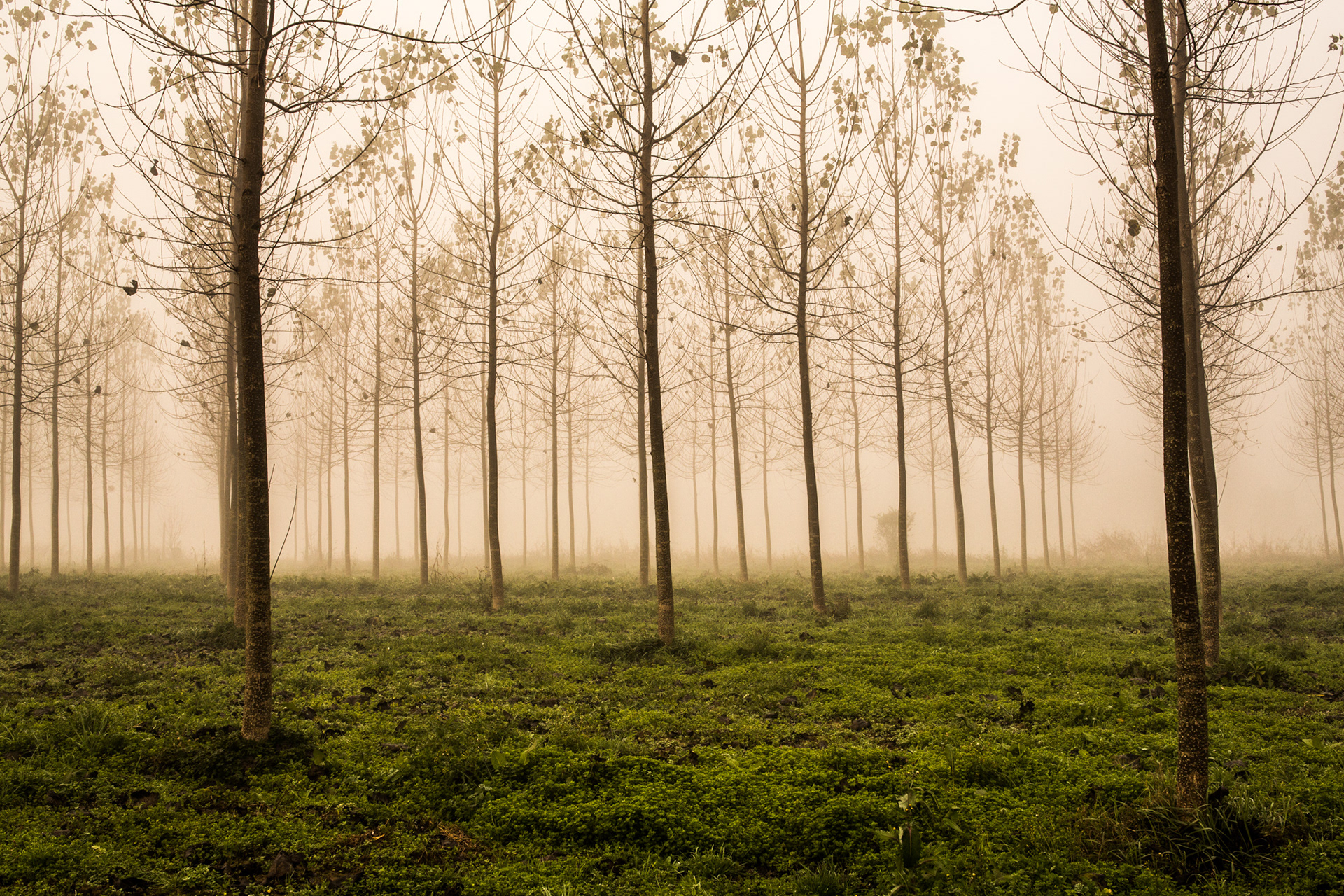 Respiro d'autunno #2