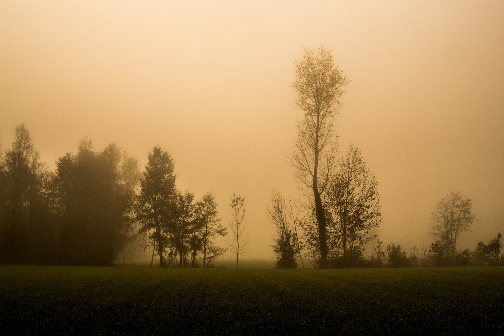 Campagna invernale #8