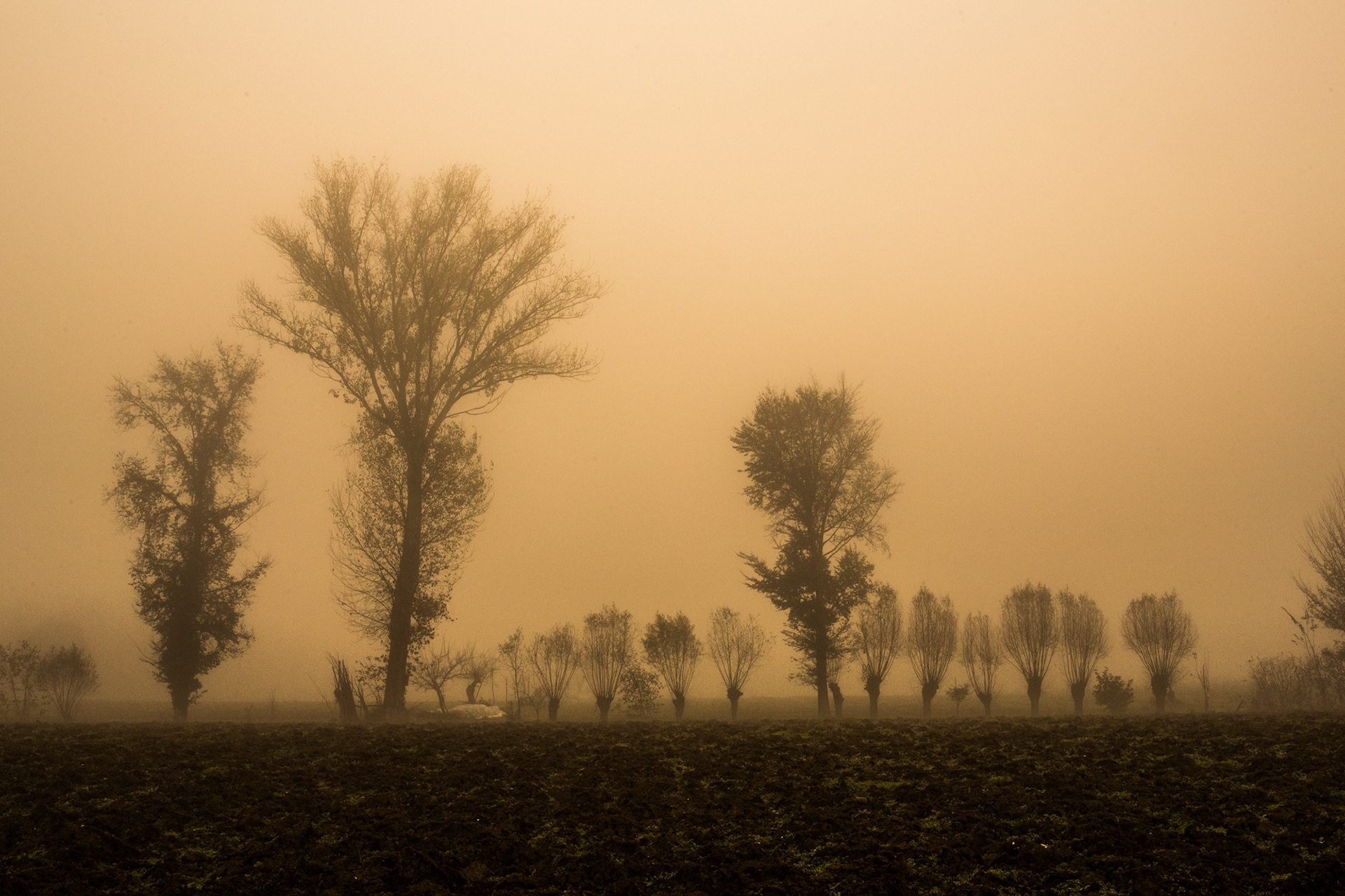 Campagna invernale #9