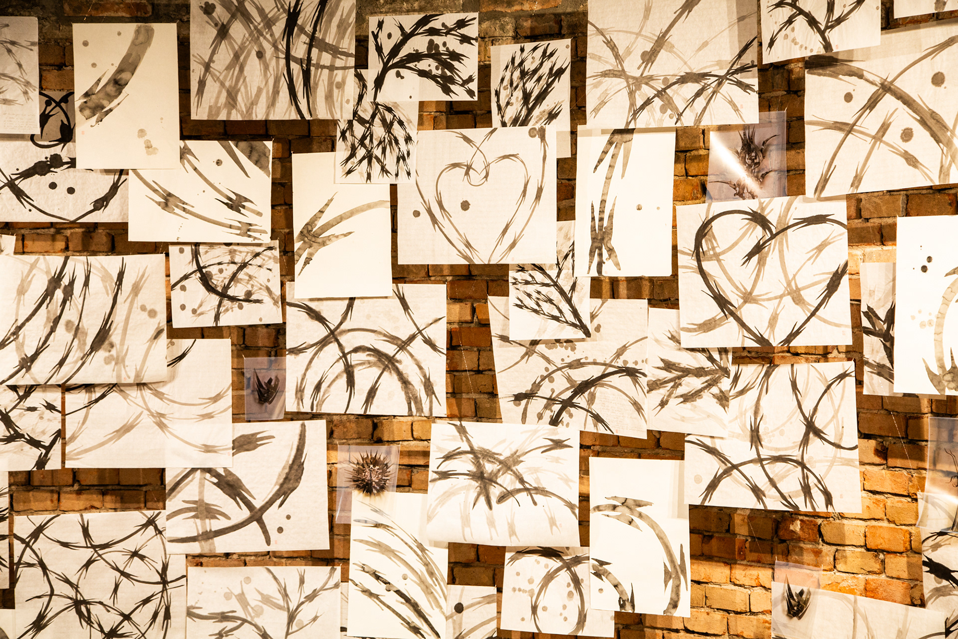 Biennale Venezia 2024 #35