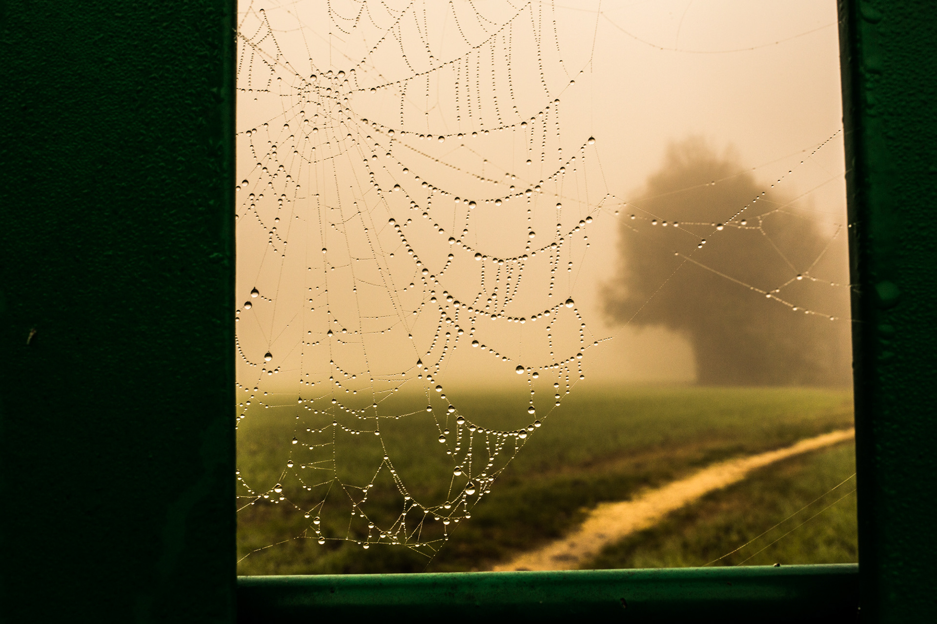 Campagna invernale #15