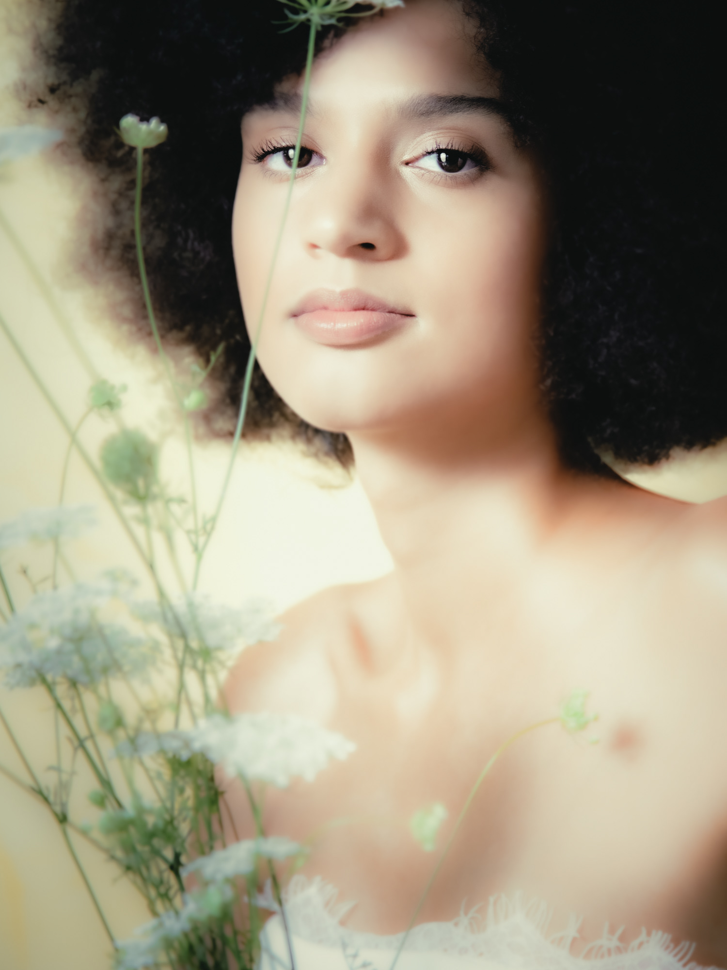 Tra erbe di campo #1