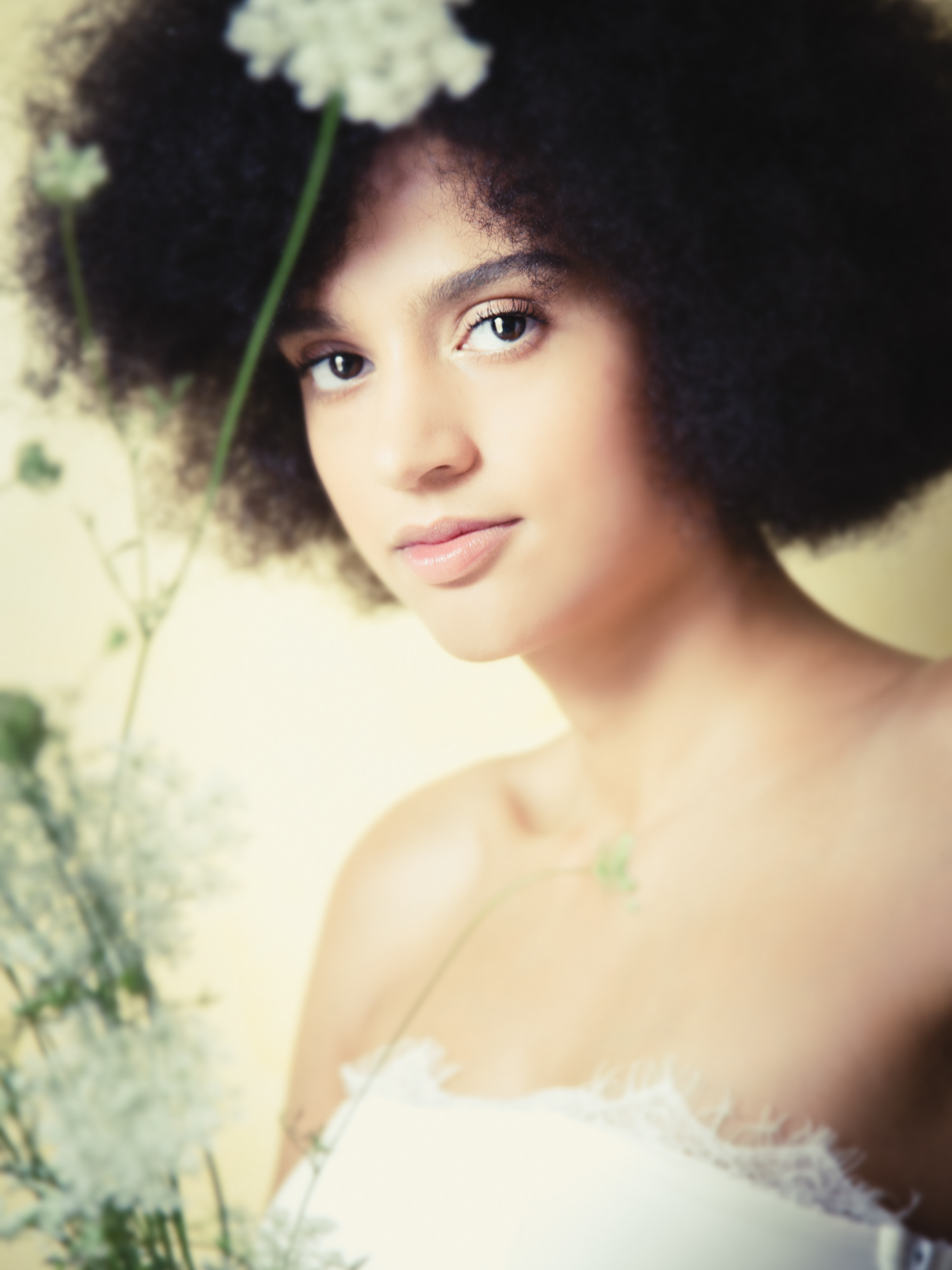 Tra erbe di campo #3