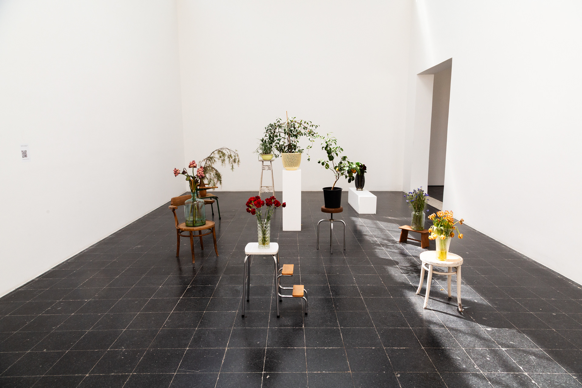 Biennale Venezia 2024 #27