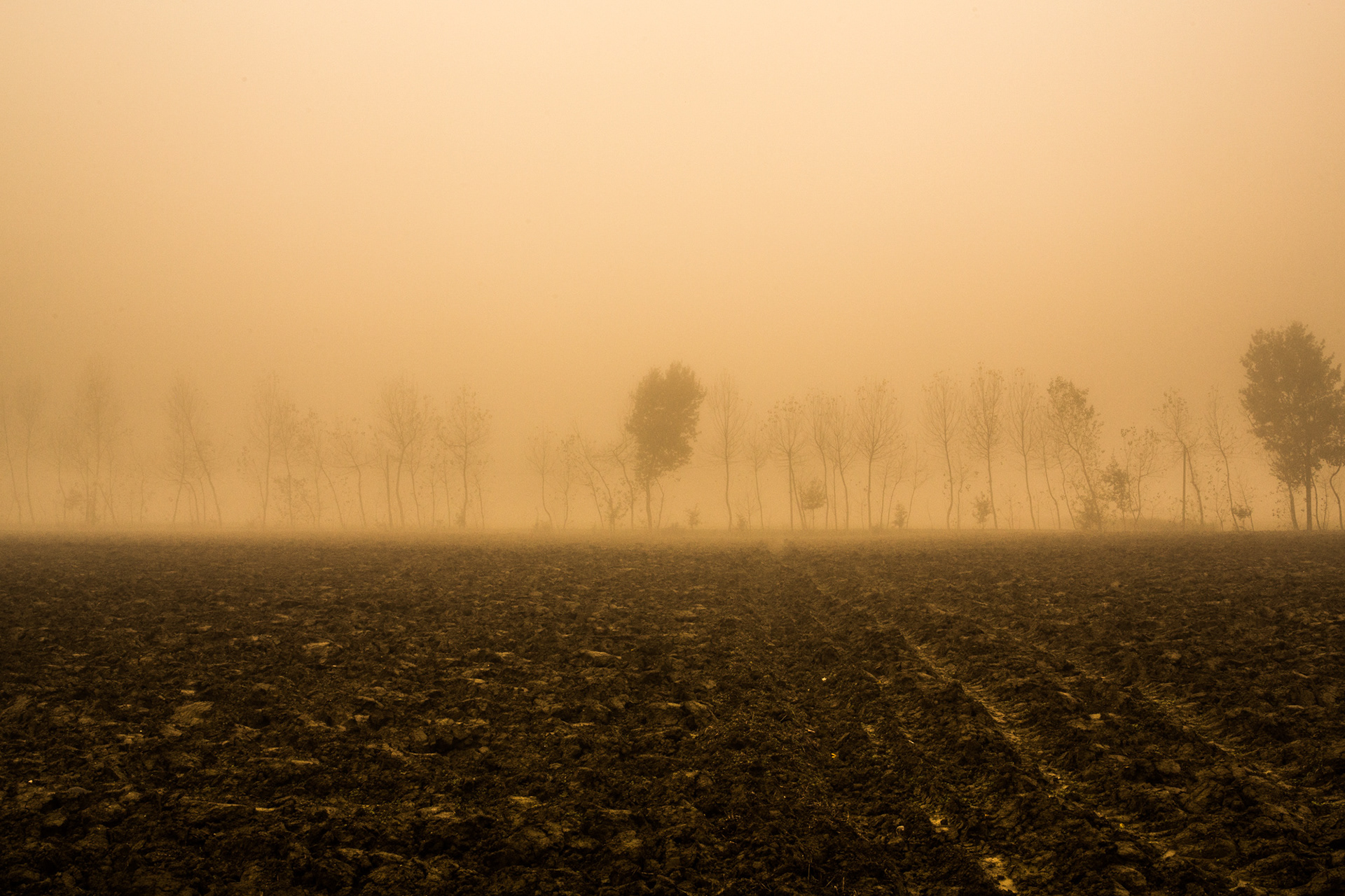 Campagna invernale #11