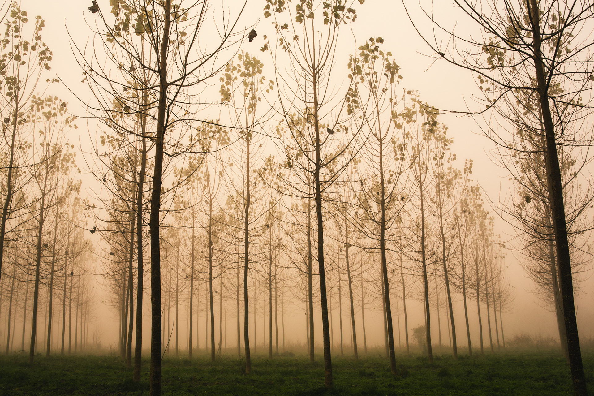 Respiro d'autunno #3