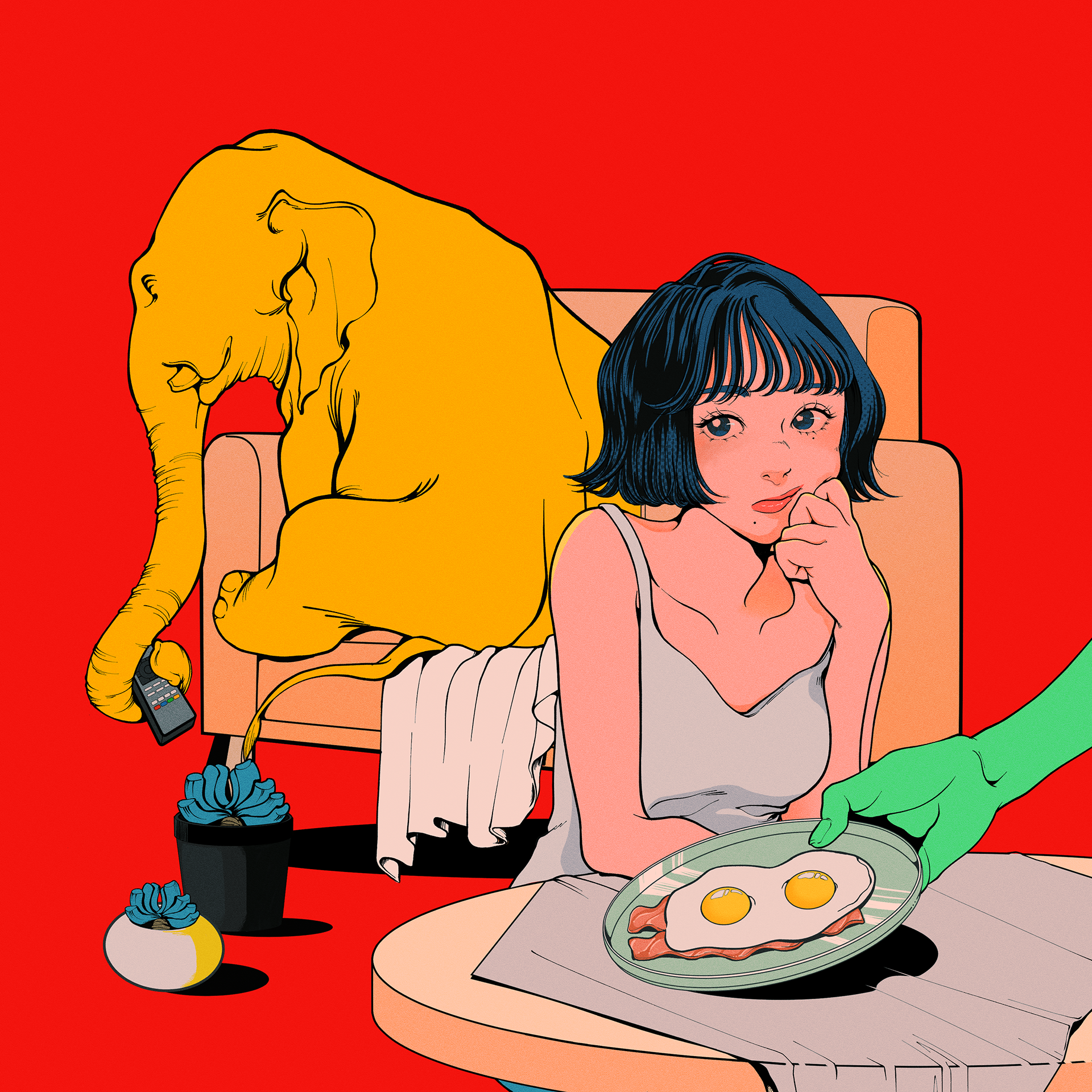 2023年 5月 ラジドラBOX 「アフリカゾウの歯」