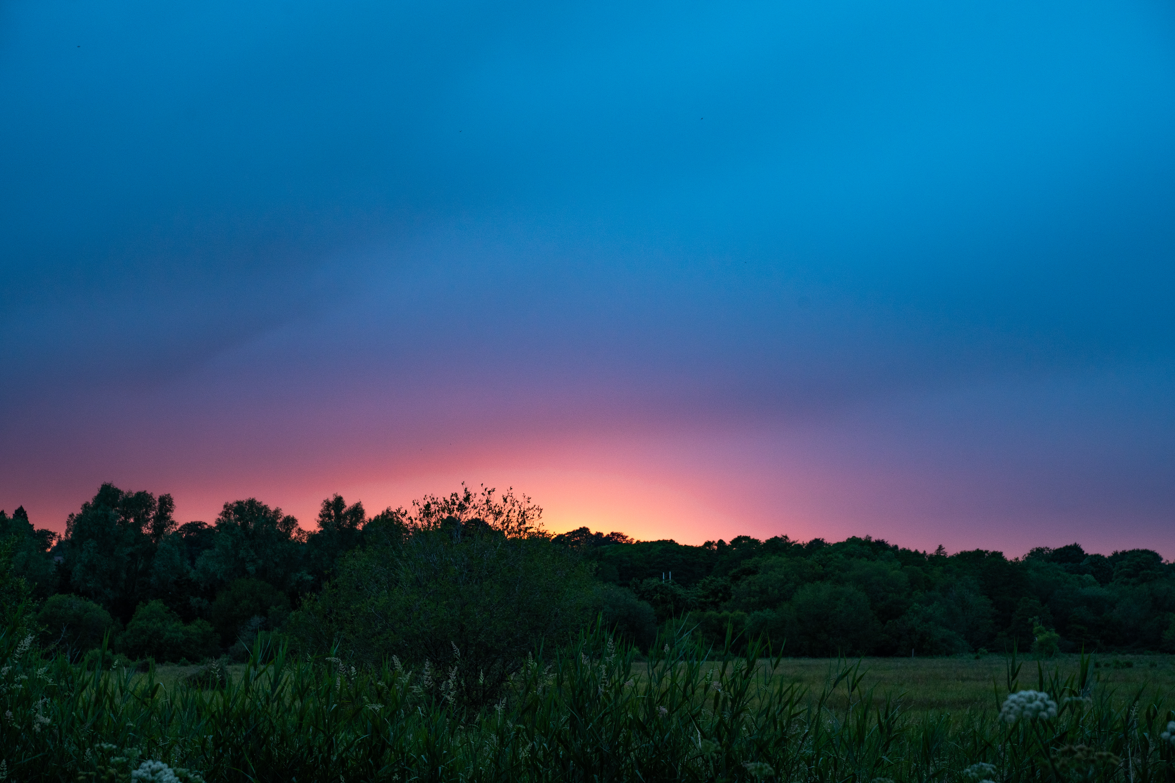 Beautiful evening