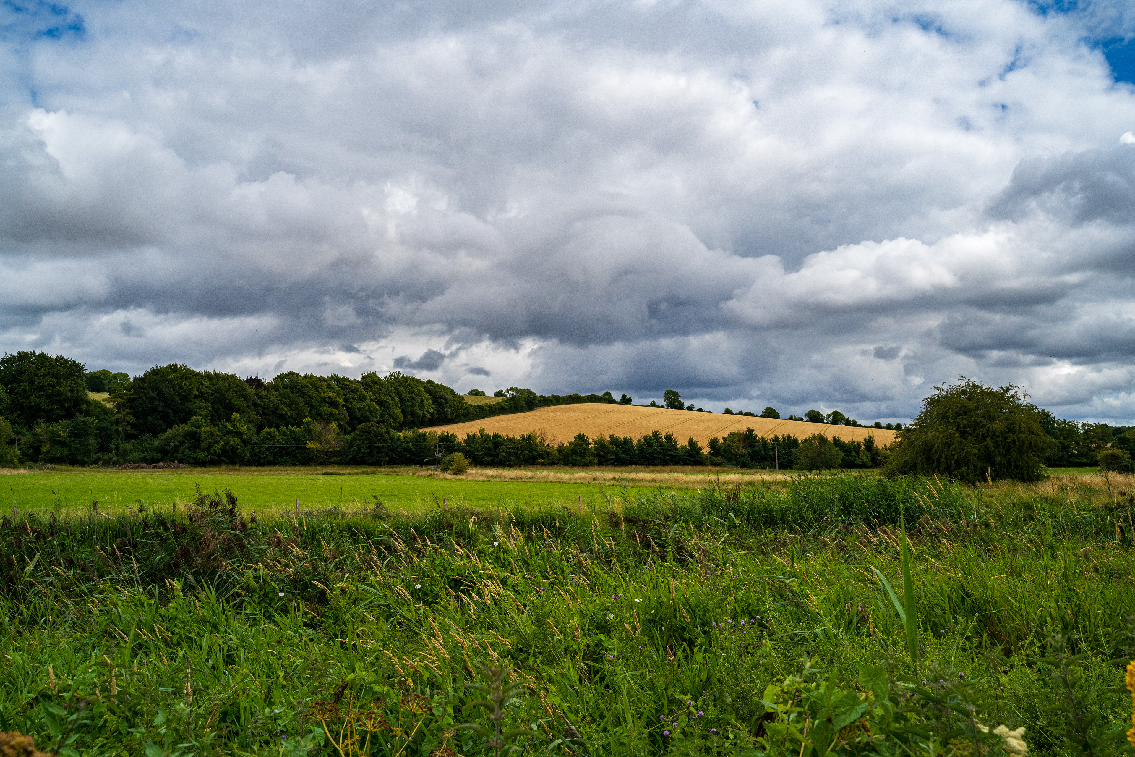 Up towards Compton, Hampshire.