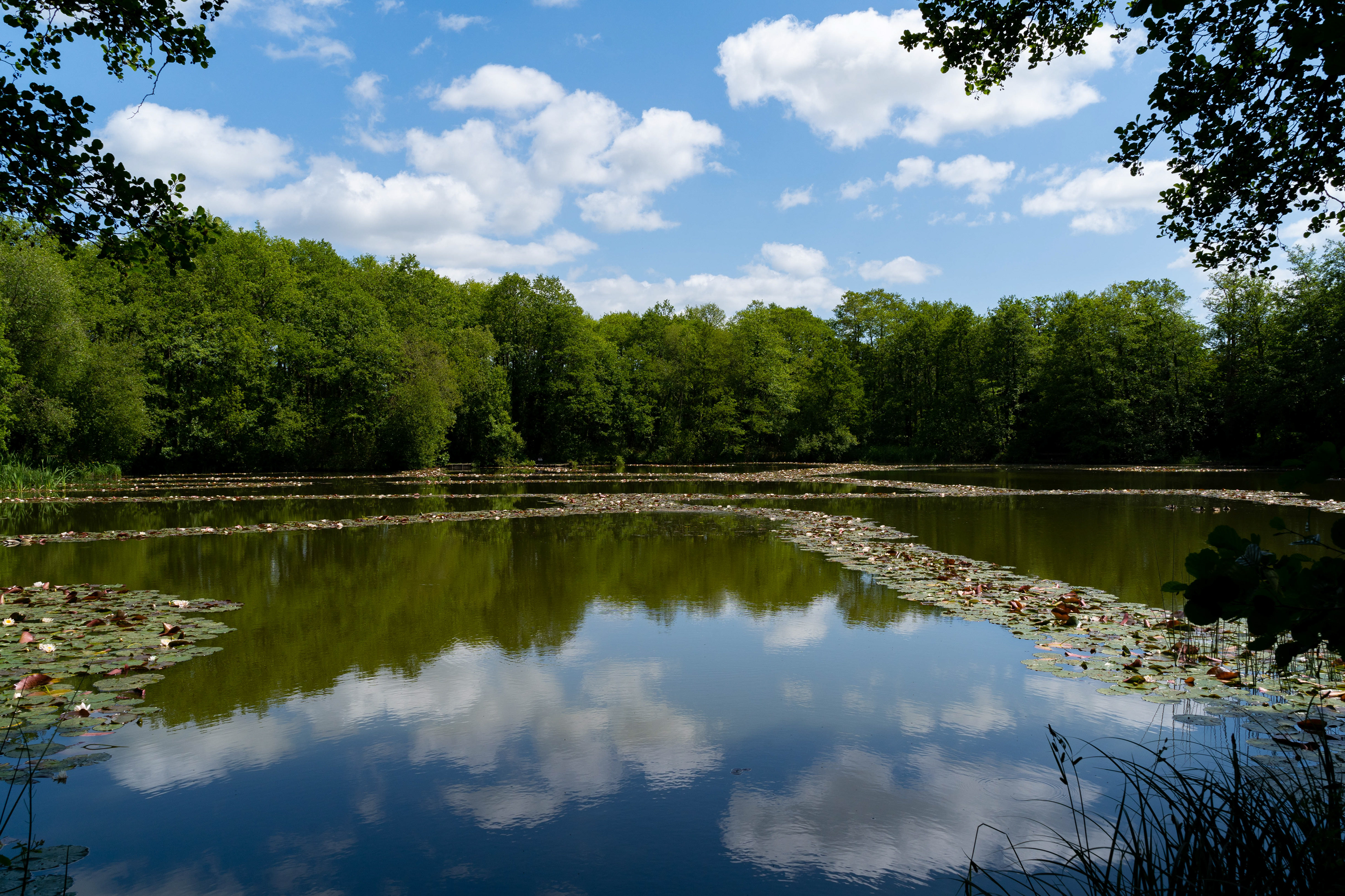 Rookesbury Park