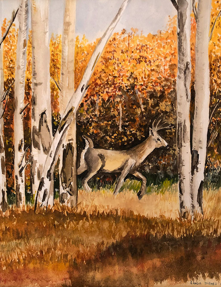 Watercolor & Acryllic on Paper