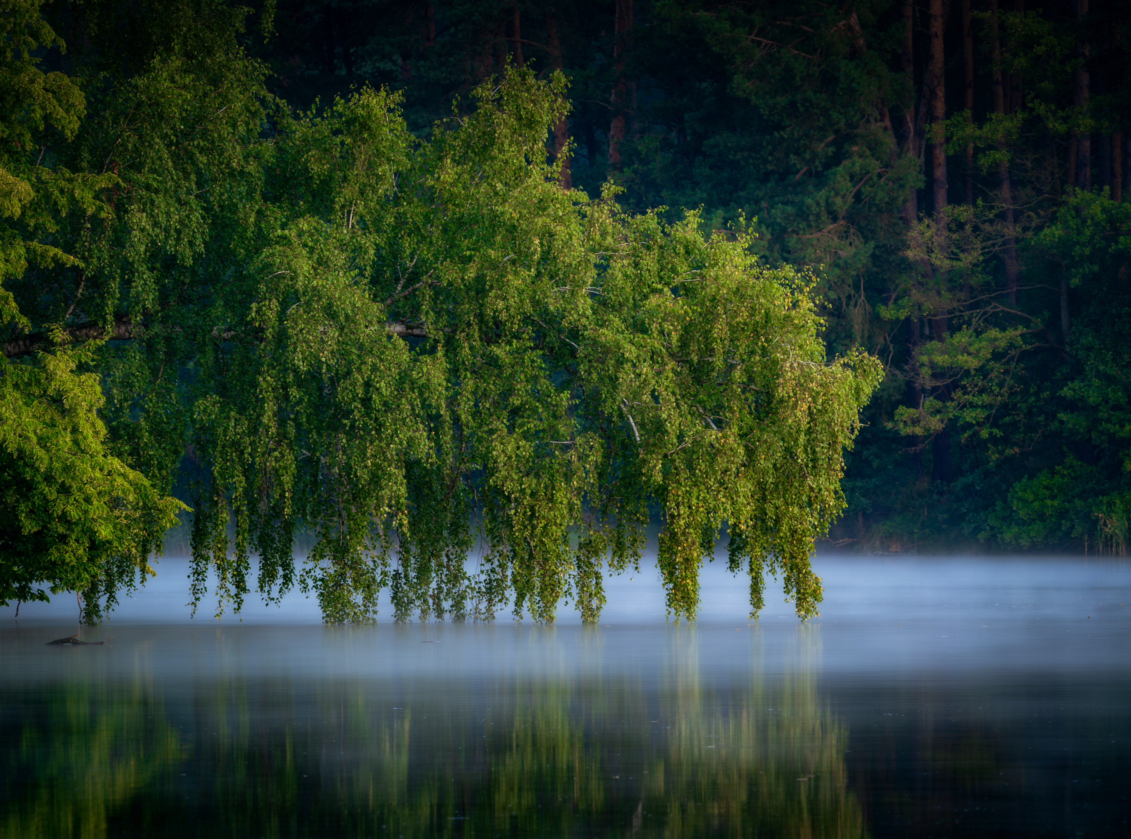 Jezioro przed wschodem słońca, Osie