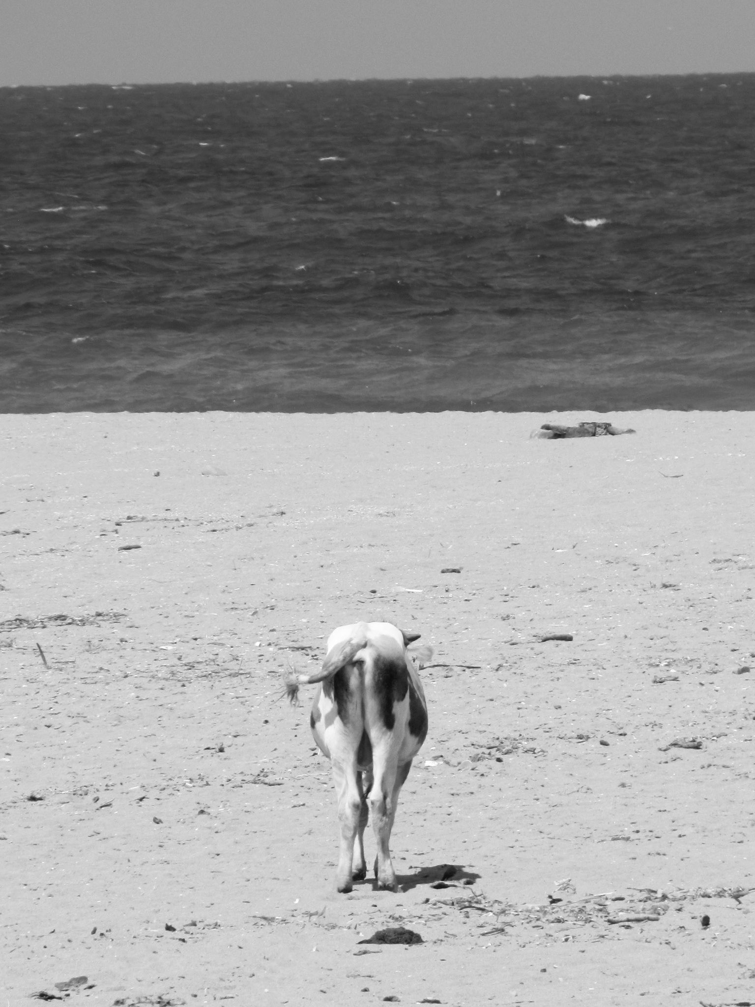 Get ready for swim, Turquie, 2011