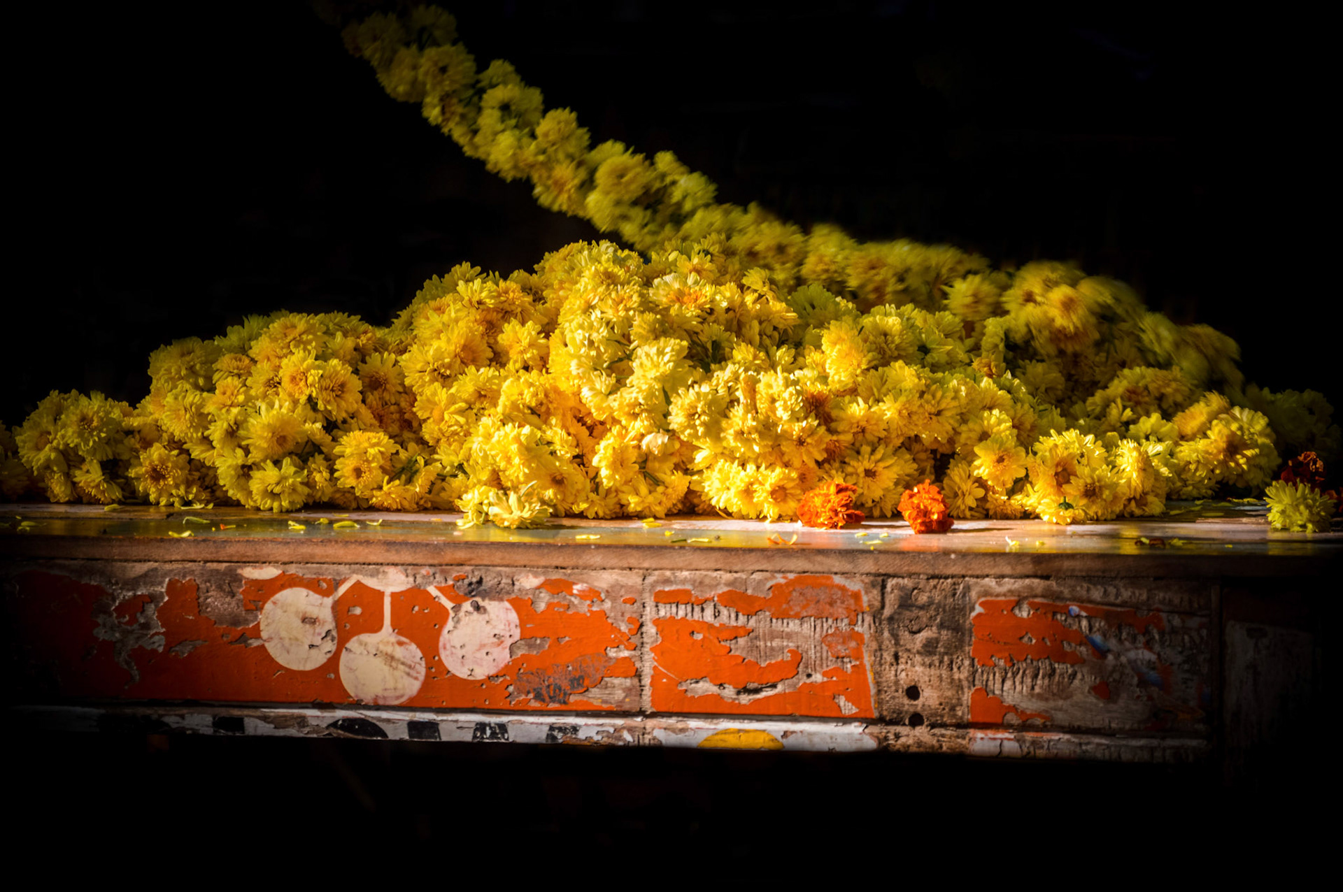 Fleur de mariage, GOA,  Inde