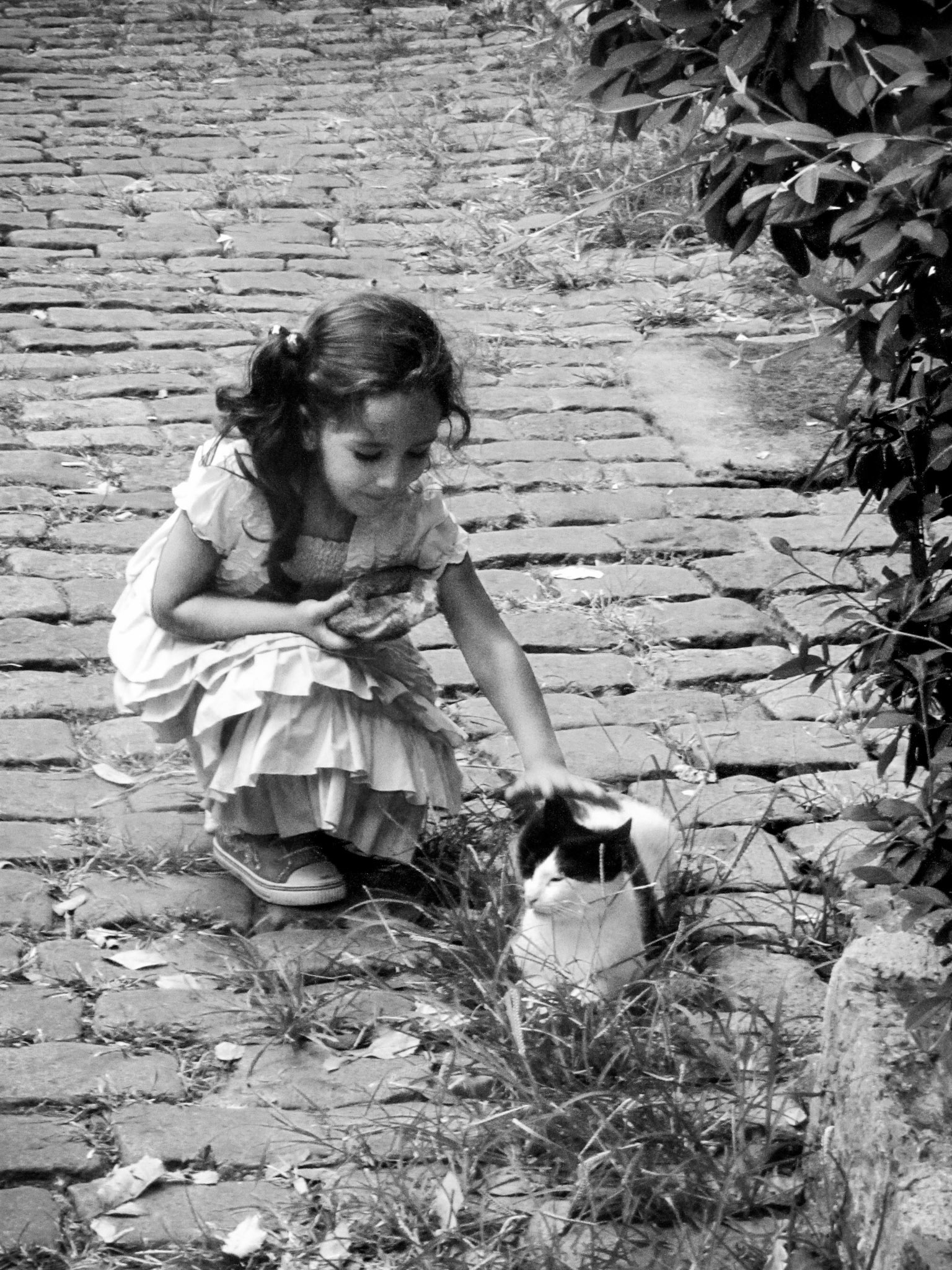 Born in Bodrum, petite fille avec le chat, Turquie,2011