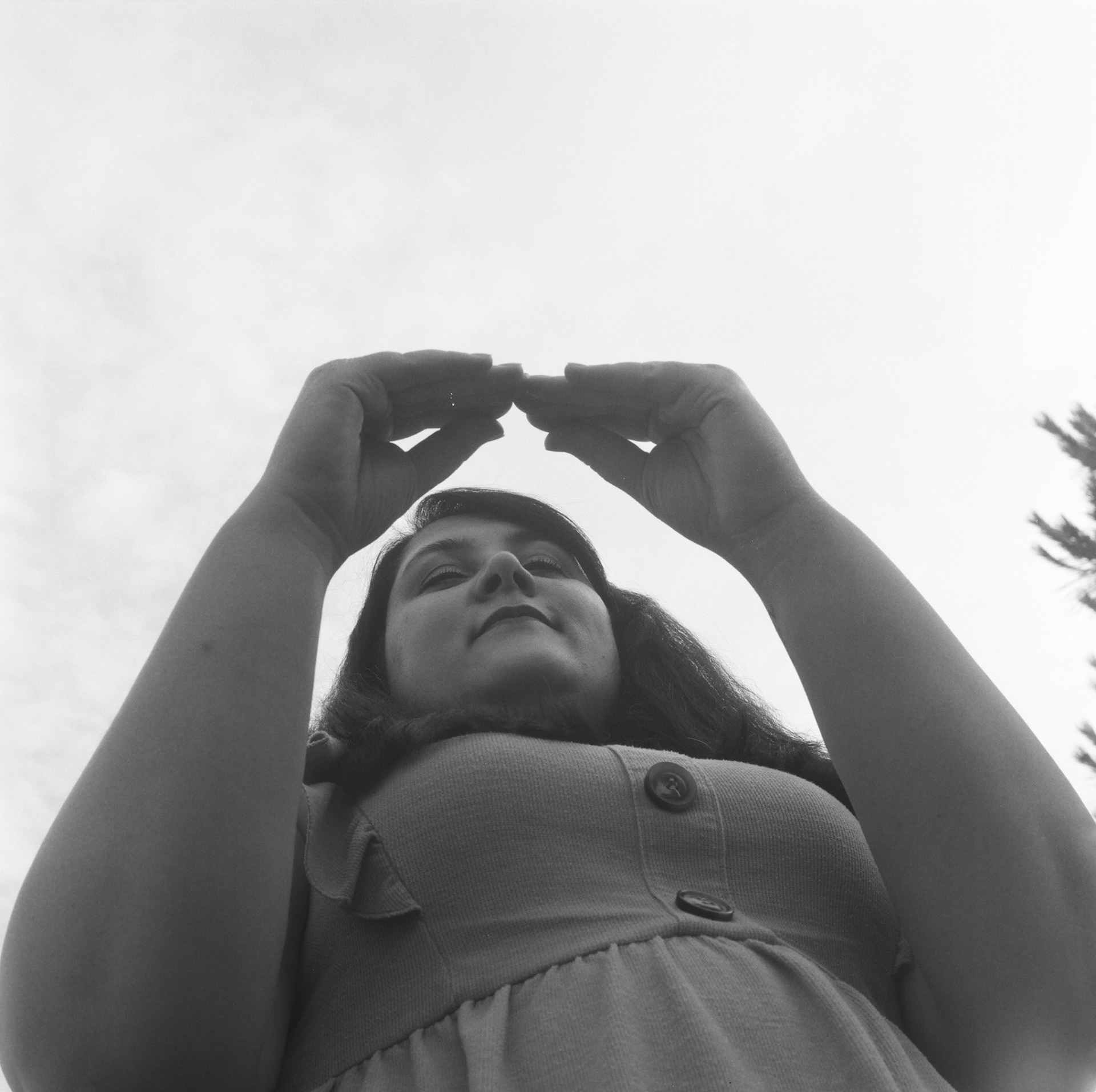 Amour 