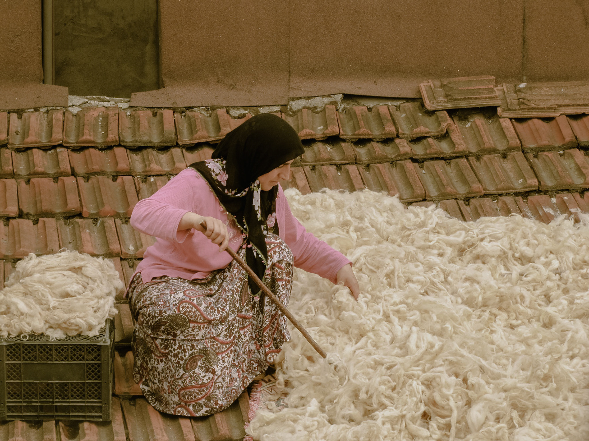 Séchage de la toison, Istanbul, 2011