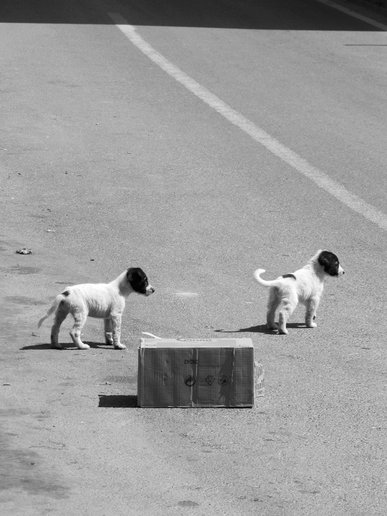 En goguette, Turquie, 2011
