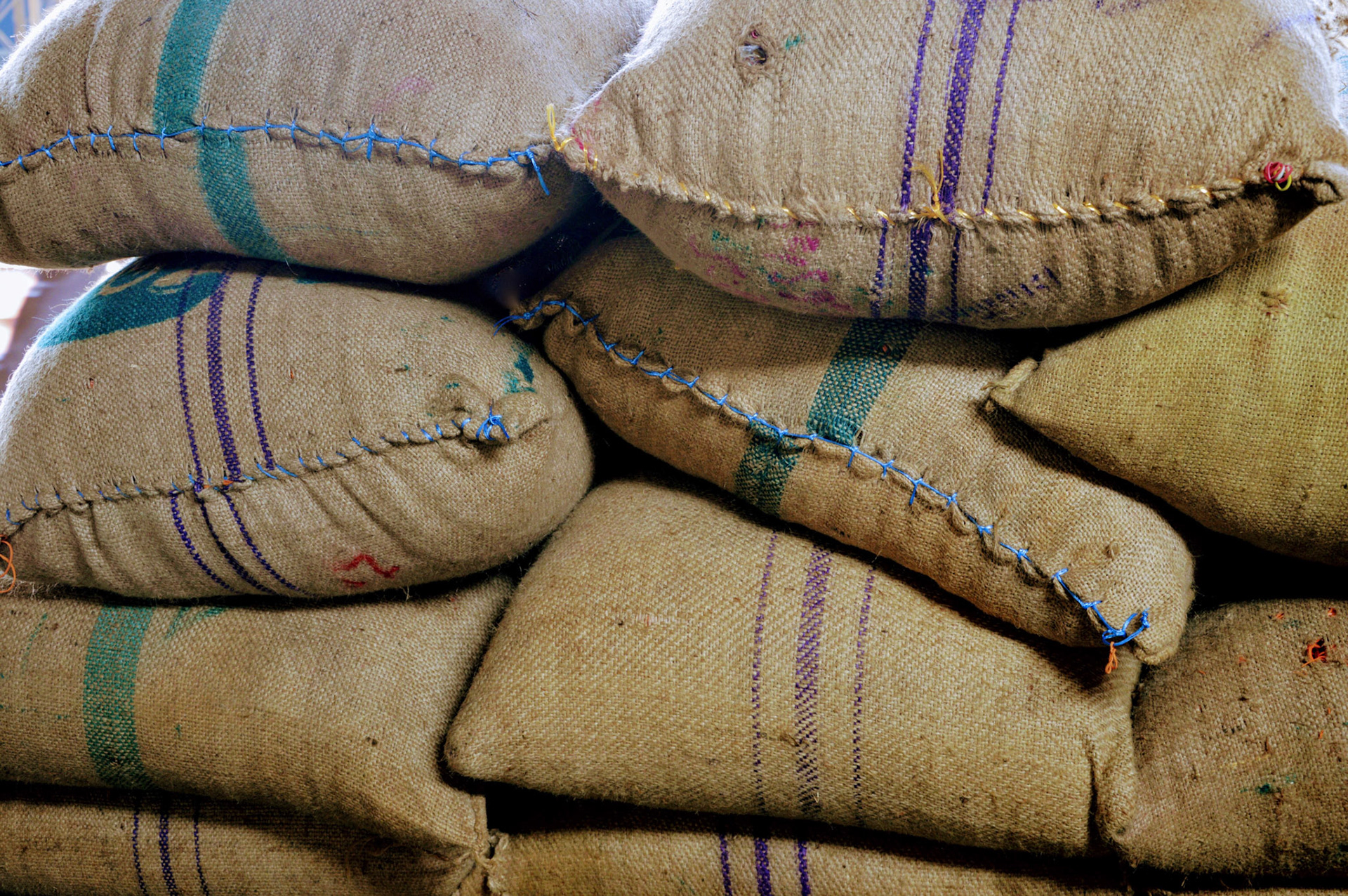 Elastiques en transit, Inde
