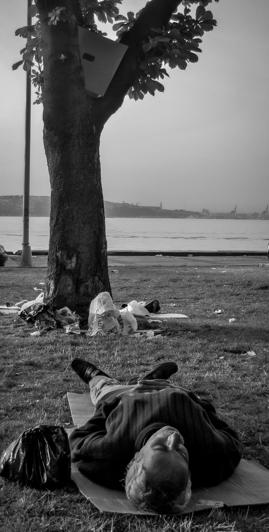 Au pied de mon arbre, il fait bon...dormir, dimanche matin, Istanbul,Turquie. 2011