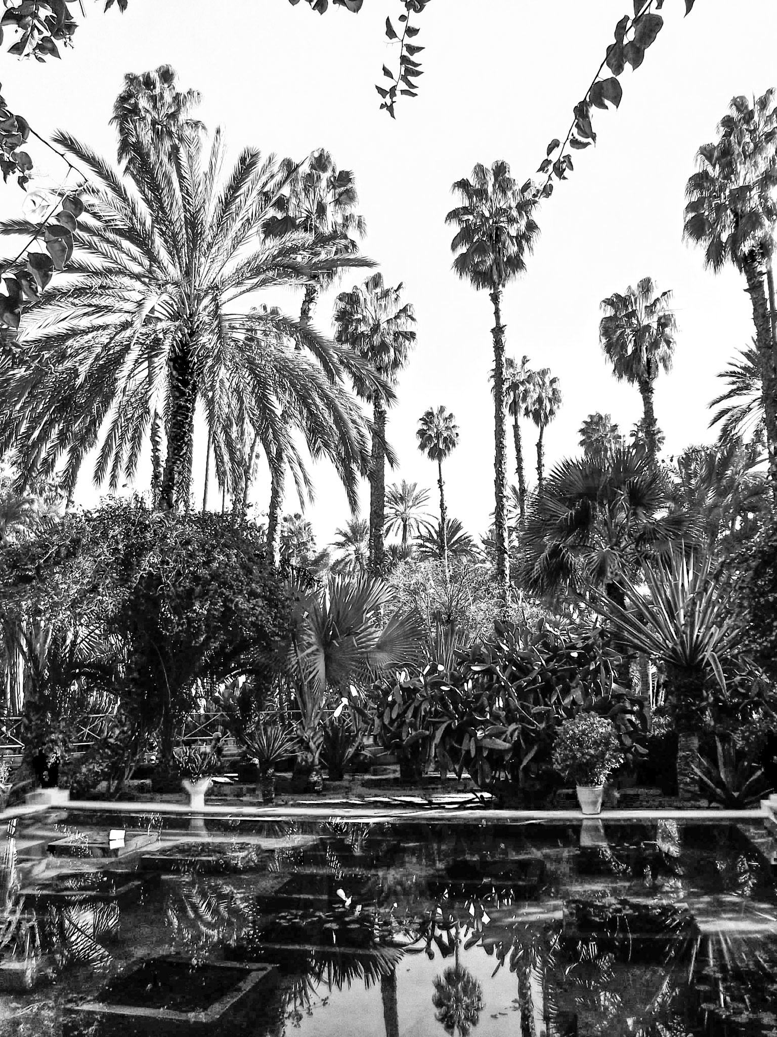 Bleu majorelle, Marrakech, 2011