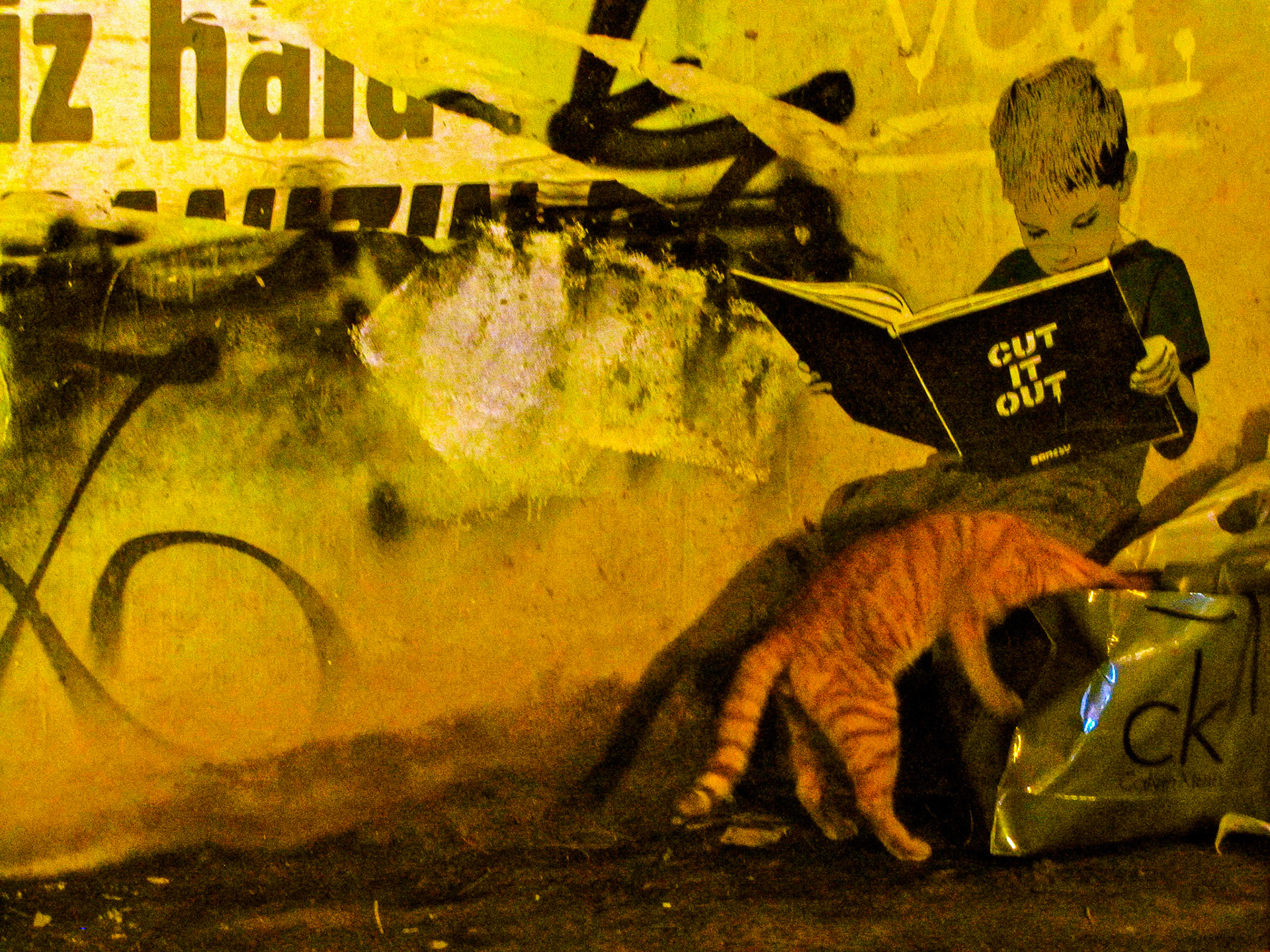 Wall Graffiti, real cat and bag, 2012
