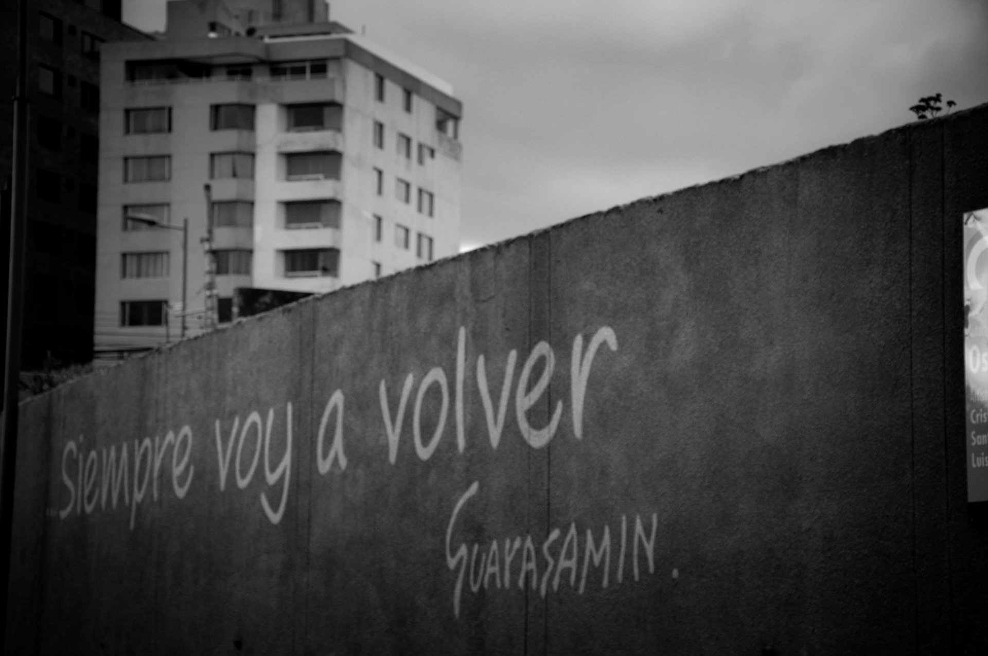 Siempre voy a volver, Guayasamin, 2013