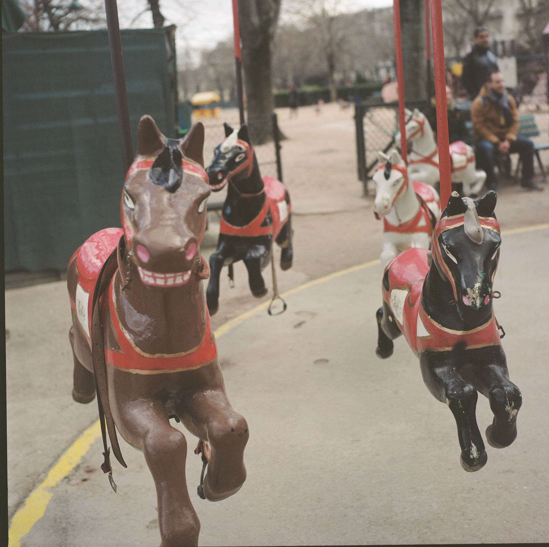 Course hippique, argentique YASHICA MAT 124G